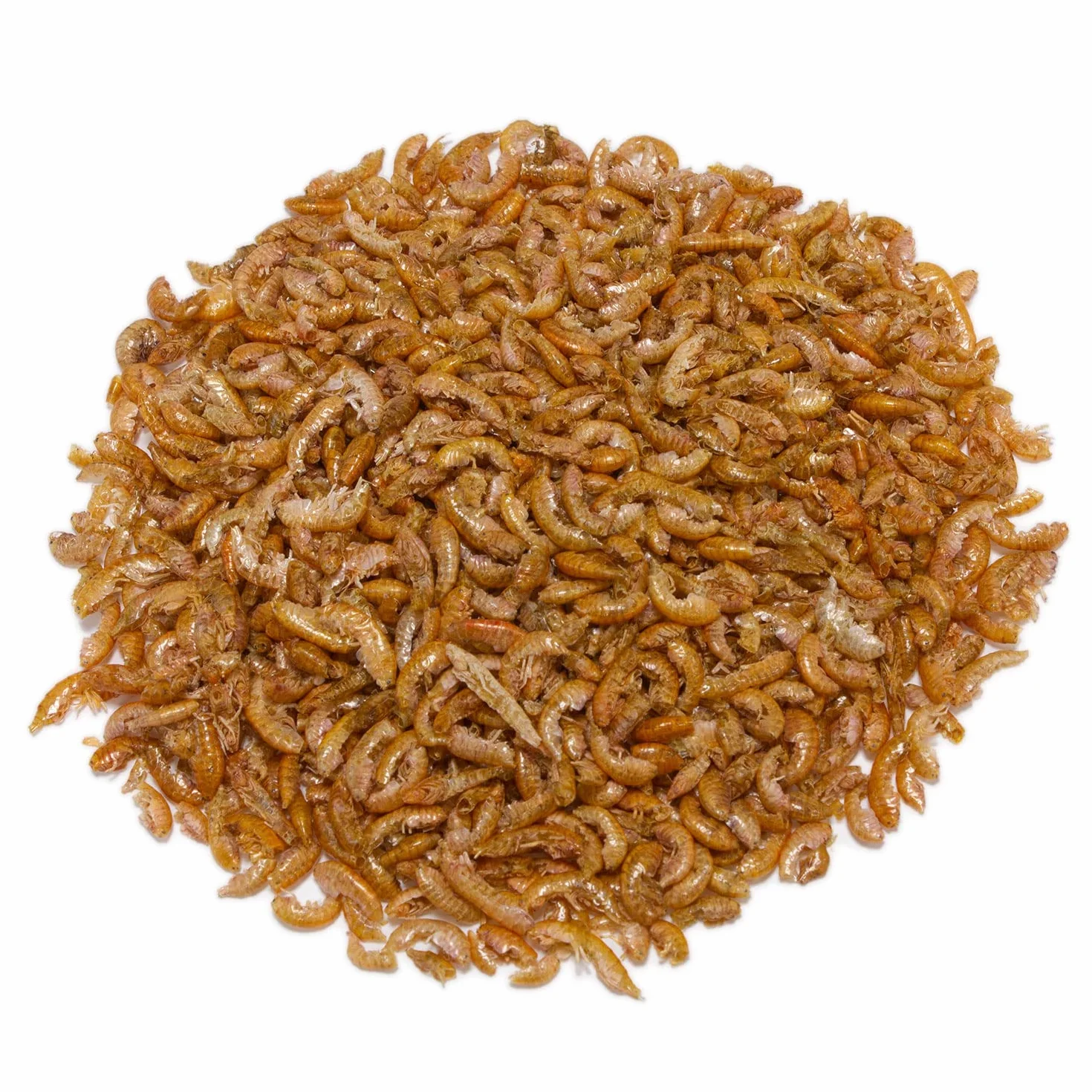 ARQUIVET Gammarus 105 ml - Pełna karma dla żółwi wodnych