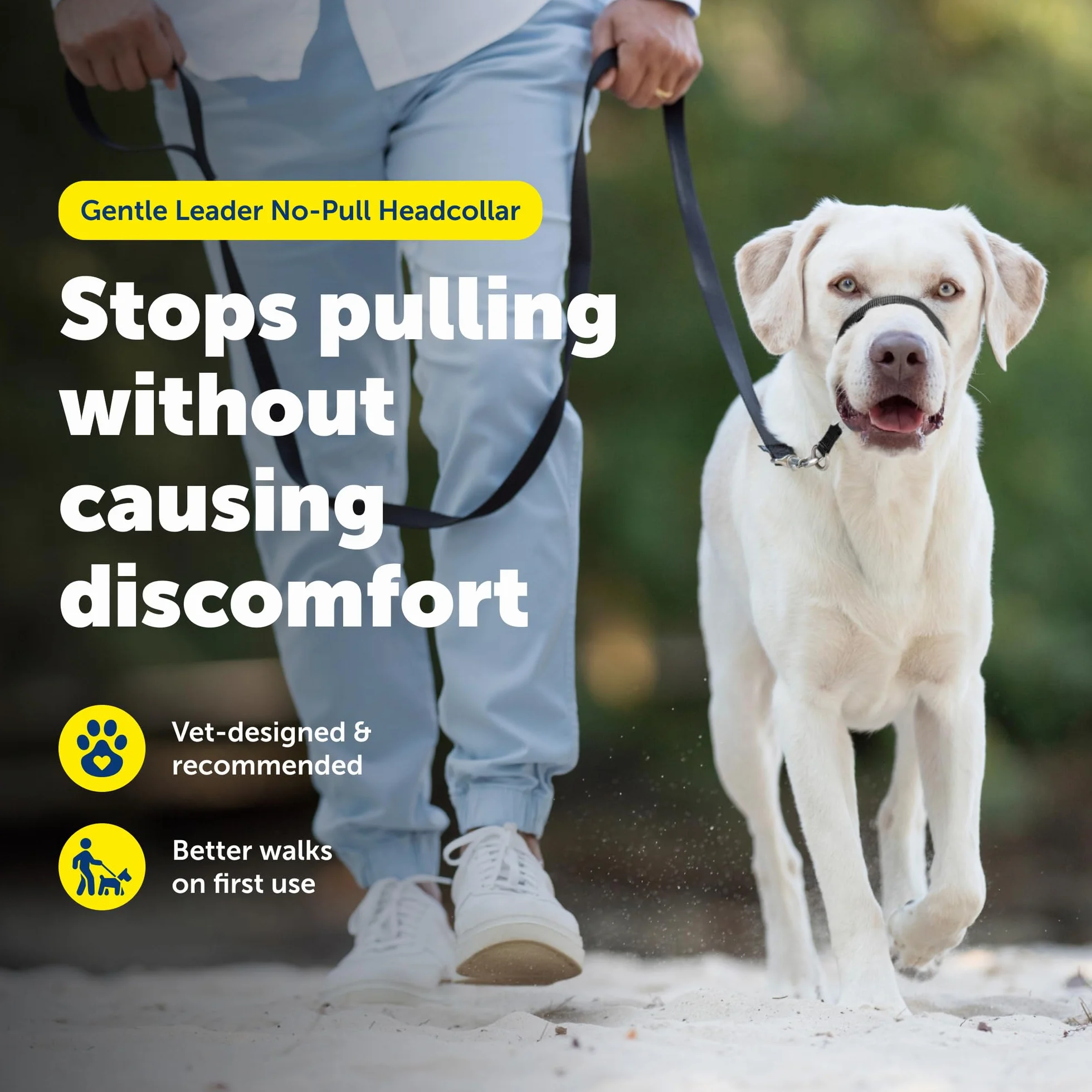 PetSafe Delikatna obroża dla psa, bez ciągnięcia, idealna do treningu smyczy i uprzęży, zapobiega ciągnięciu i zadławieniu się zwierząt podczas spacerów, duża, ciemnofioletowa