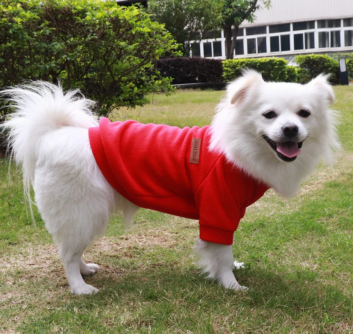 Ciepła polarowa bluza dla psa Chihuahua sweter dla małych psów (Czerwony, 3XL)