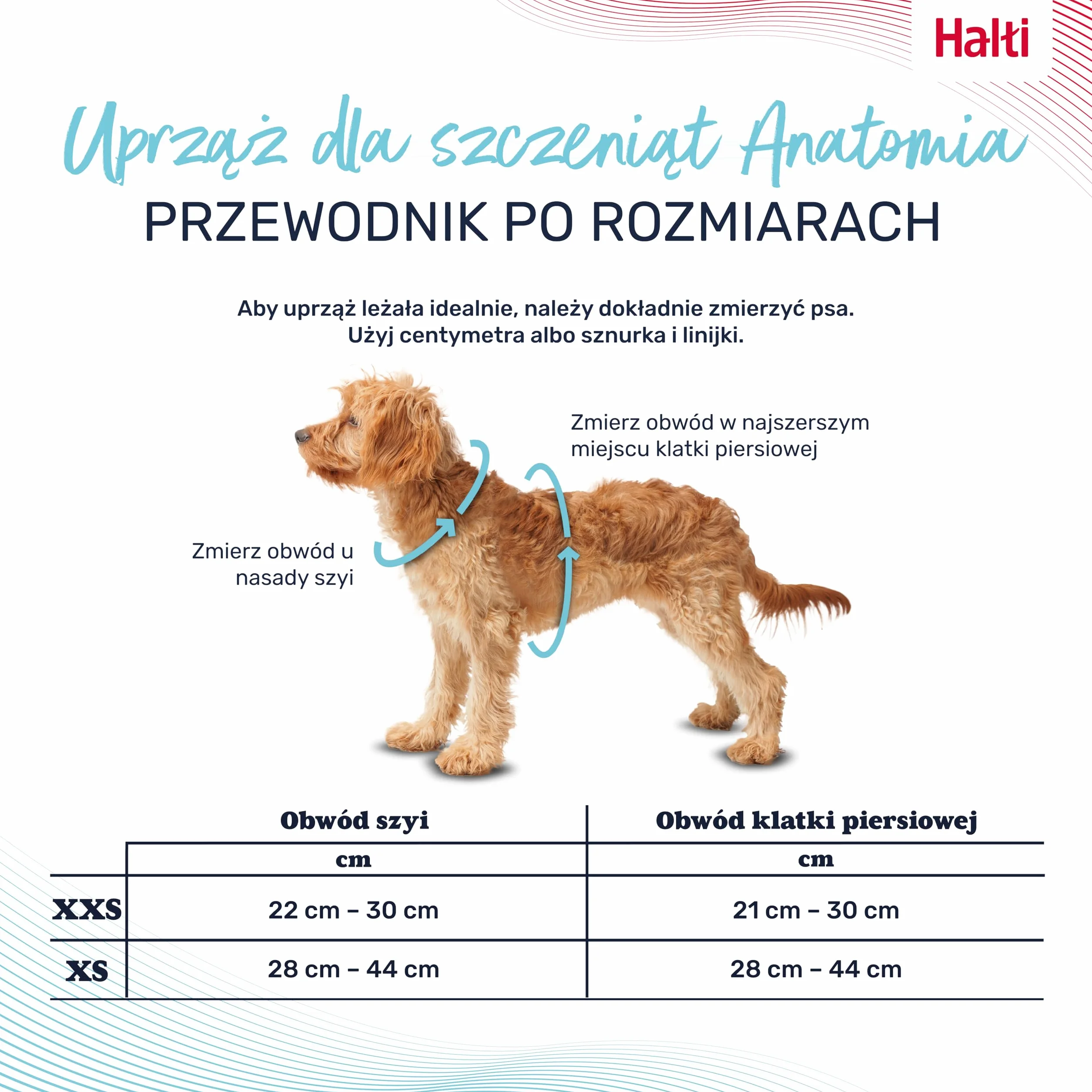HALTI Anatomy uprząż dla szczeniąt XXS szary 4 punkty regulacji