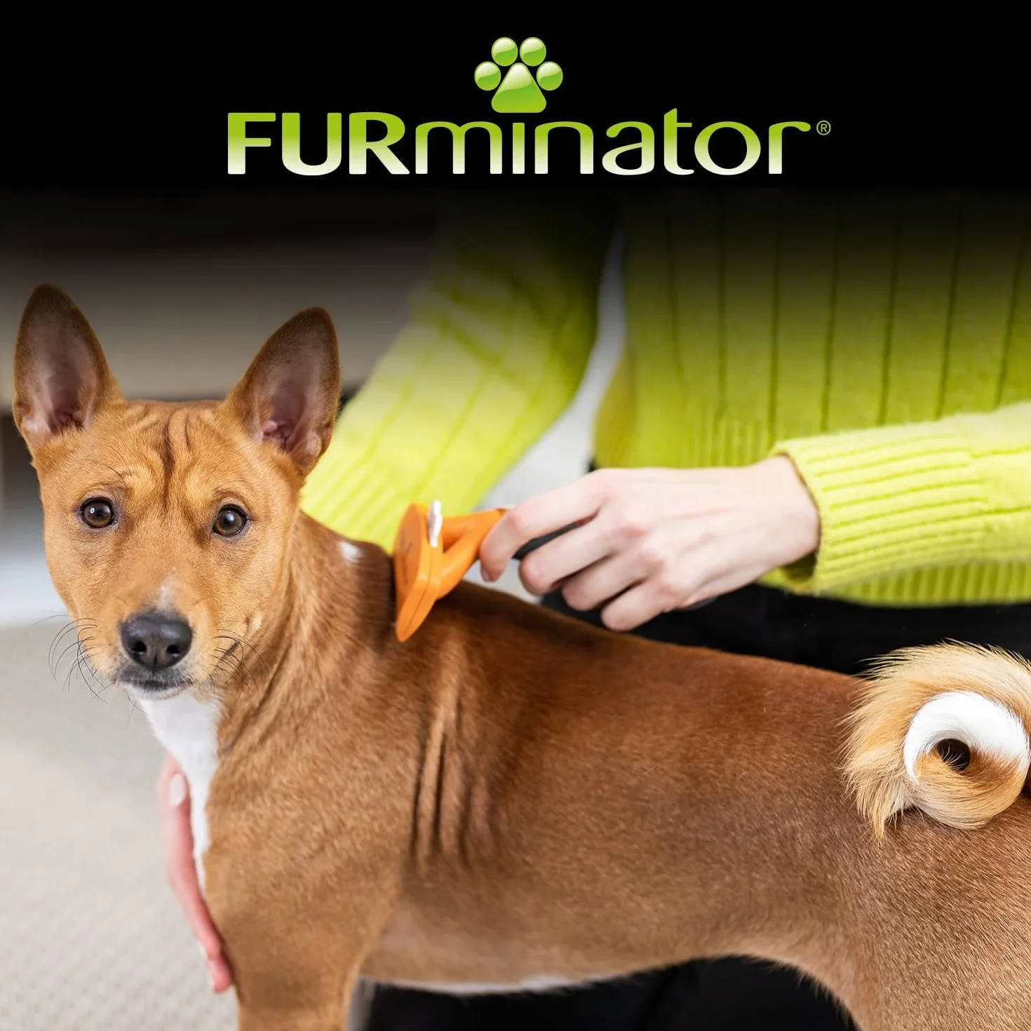 Furminator Szczotka dla Psów Szary/Pomarańczowy M