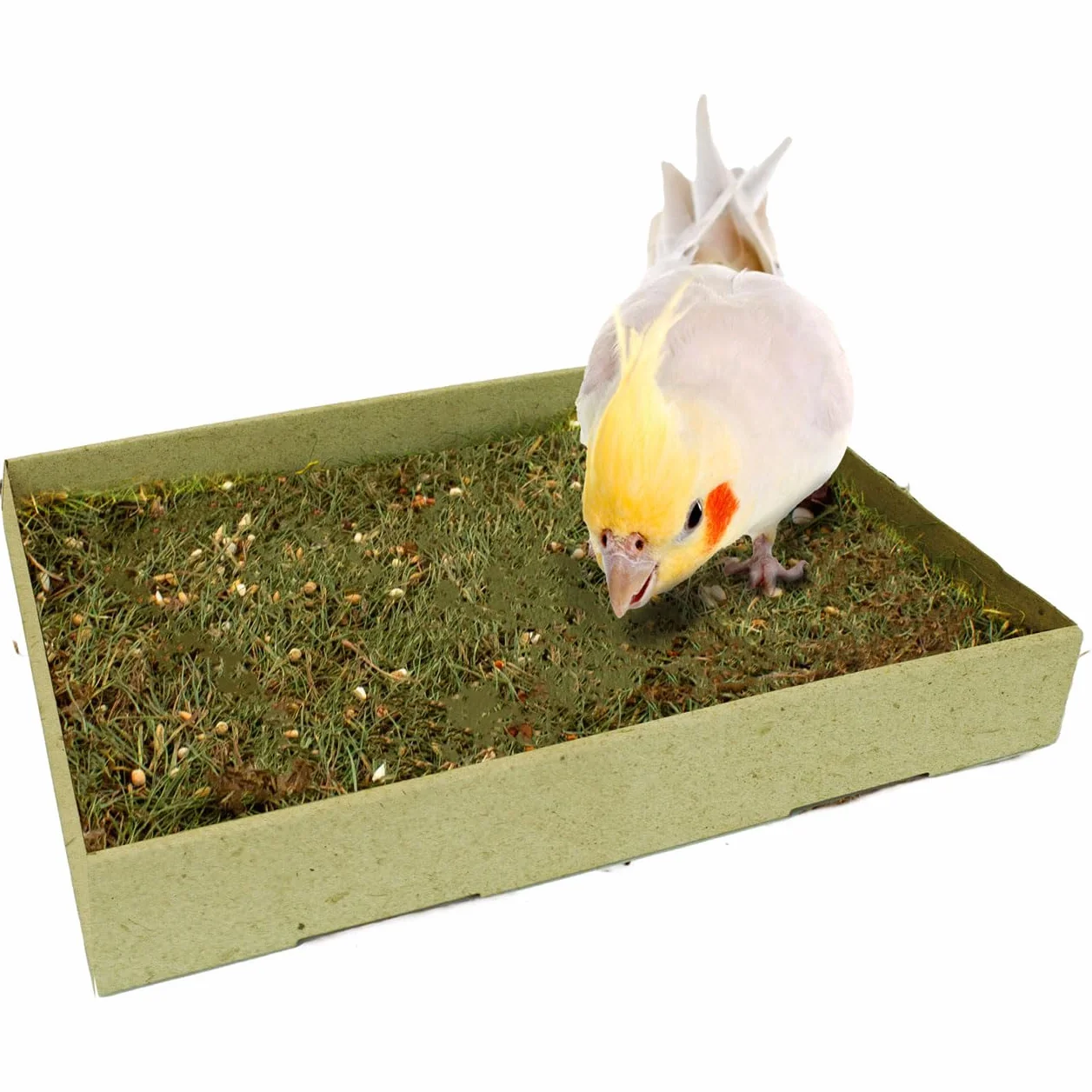 JR Farm Birds Pick-łąka 600 g