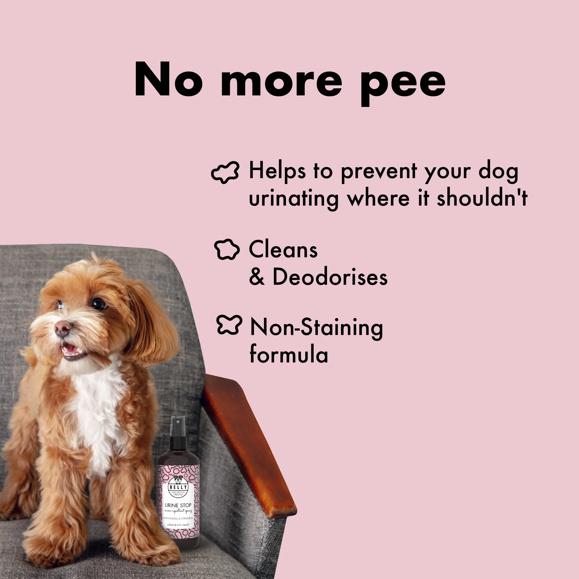 Odstraszacz psów Belly Spray do wnętrz - Odstraszacz psów na zewnątrz - Odstraszacz psich odchodów, wszystkie powierzchnie - Eliminuje zapach psich odchodów, 250ml