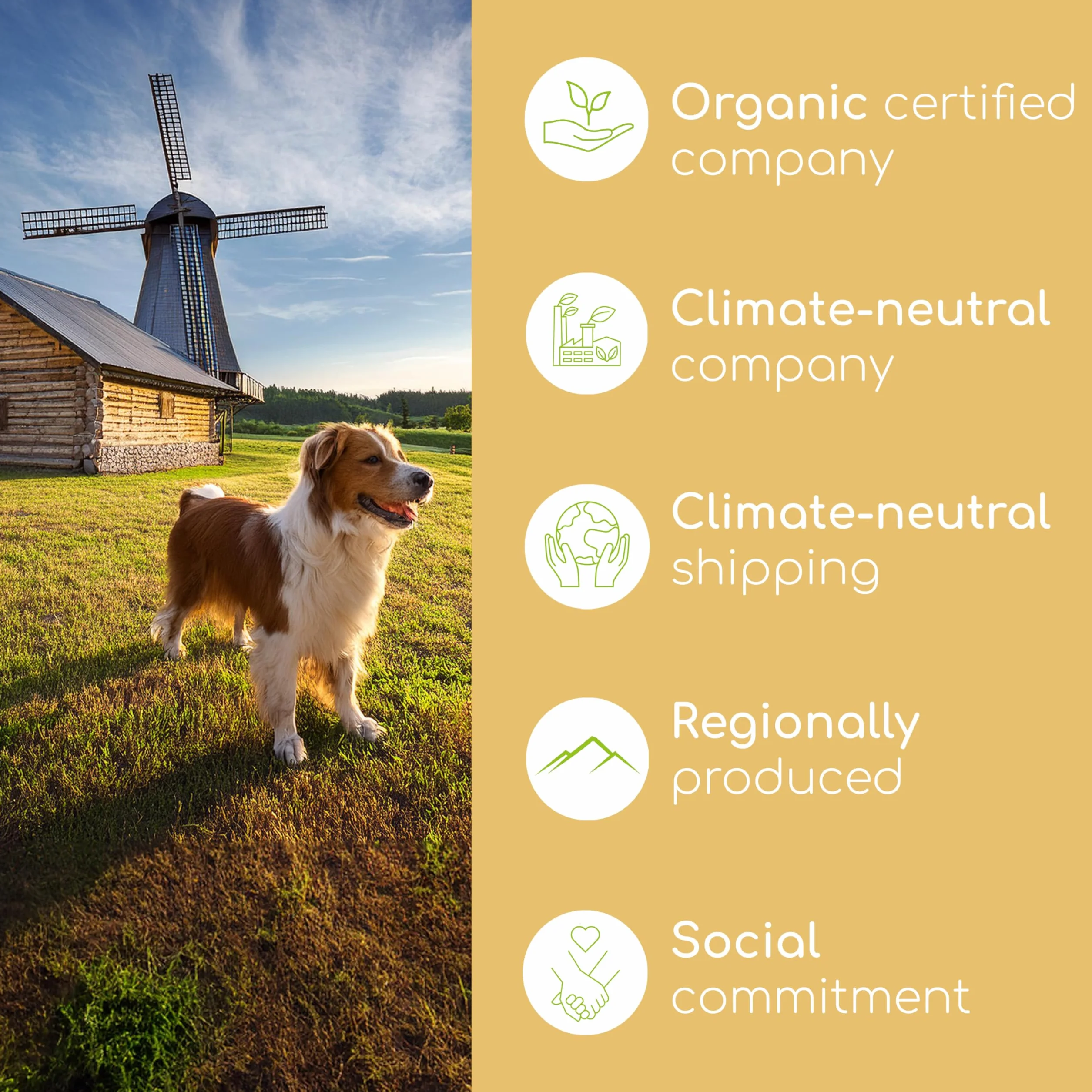 Organiczne drożdże piwne dla psów i kotów 100ml płynne suplement z witaminą B DE-ÖKO-060