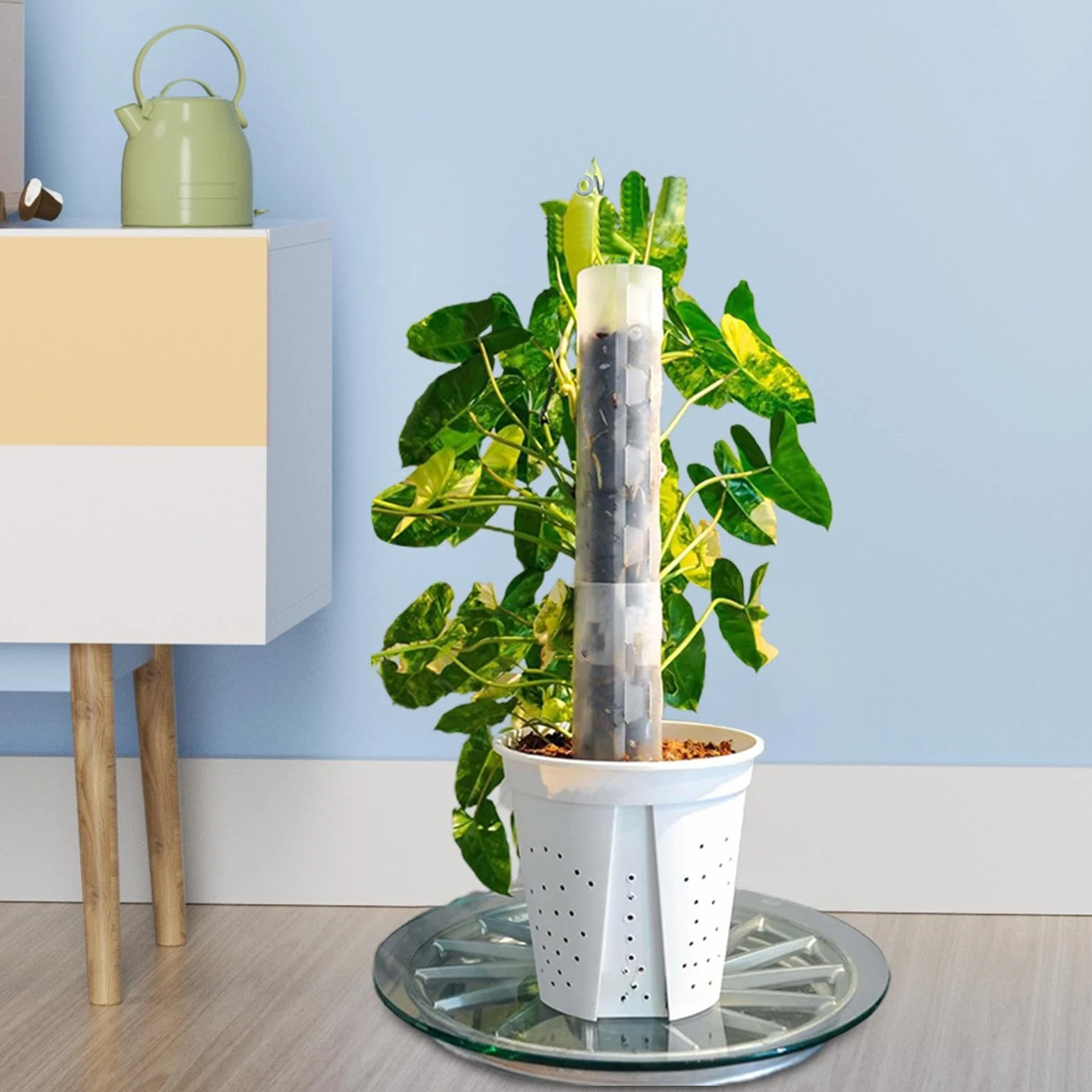 Podpórka do mchu, drążek wspinaczkowy Monstera, palik do mchu, kij podtrzymujący rośliny, 48 cm drążki do układania w stos do roślin pnących monstera, przezroczysty mch do pnącza monstera