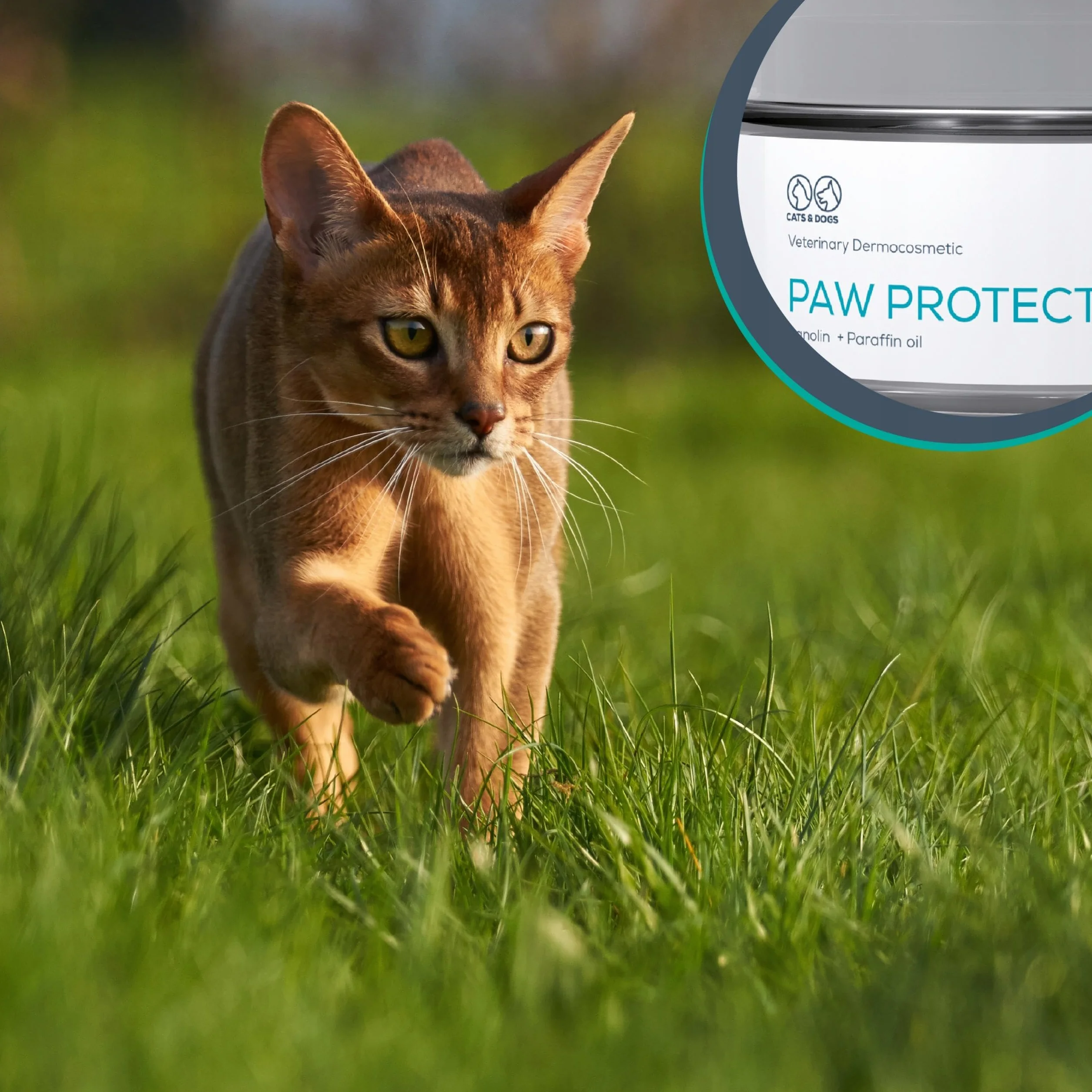VET EXPERT PAW PROTECTION - maść ochronna do łap dla psów i kotów 75 ml