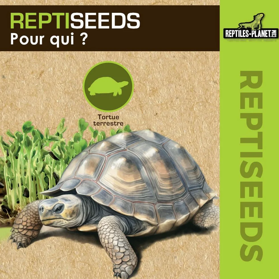 Reptiles Planet - Reptiseeds - Mieszanka nasion kiełkujących żółwia ziemnego - 100g