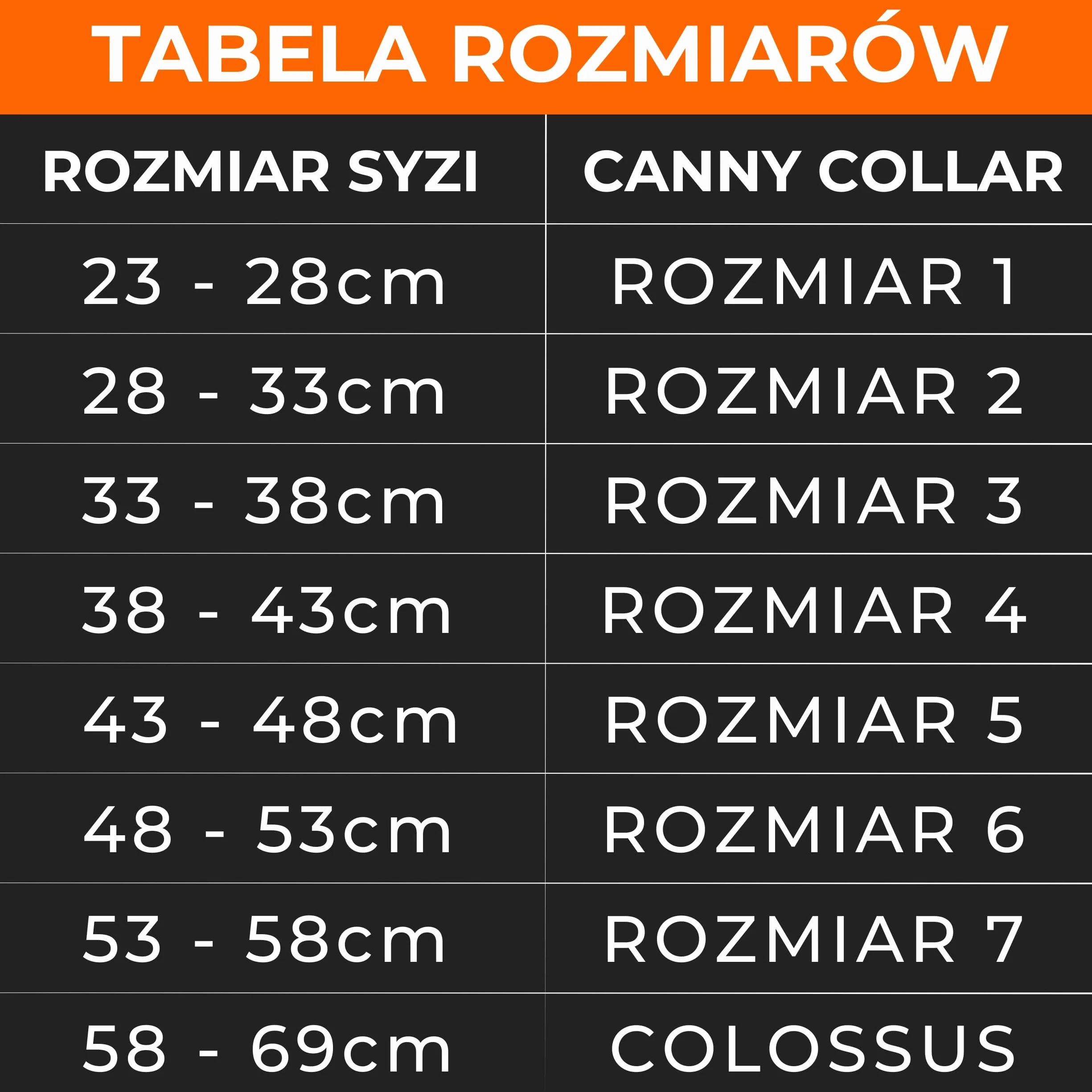 Canny Collar – Obroża Treningowa Przeciw Ciągnięciu | Kantar na Głowę, Uczy Chodzenia na Luźnej Smyczy | Spokojne, Bezstresowe Spacery | Czarna, Rozmiar 2
