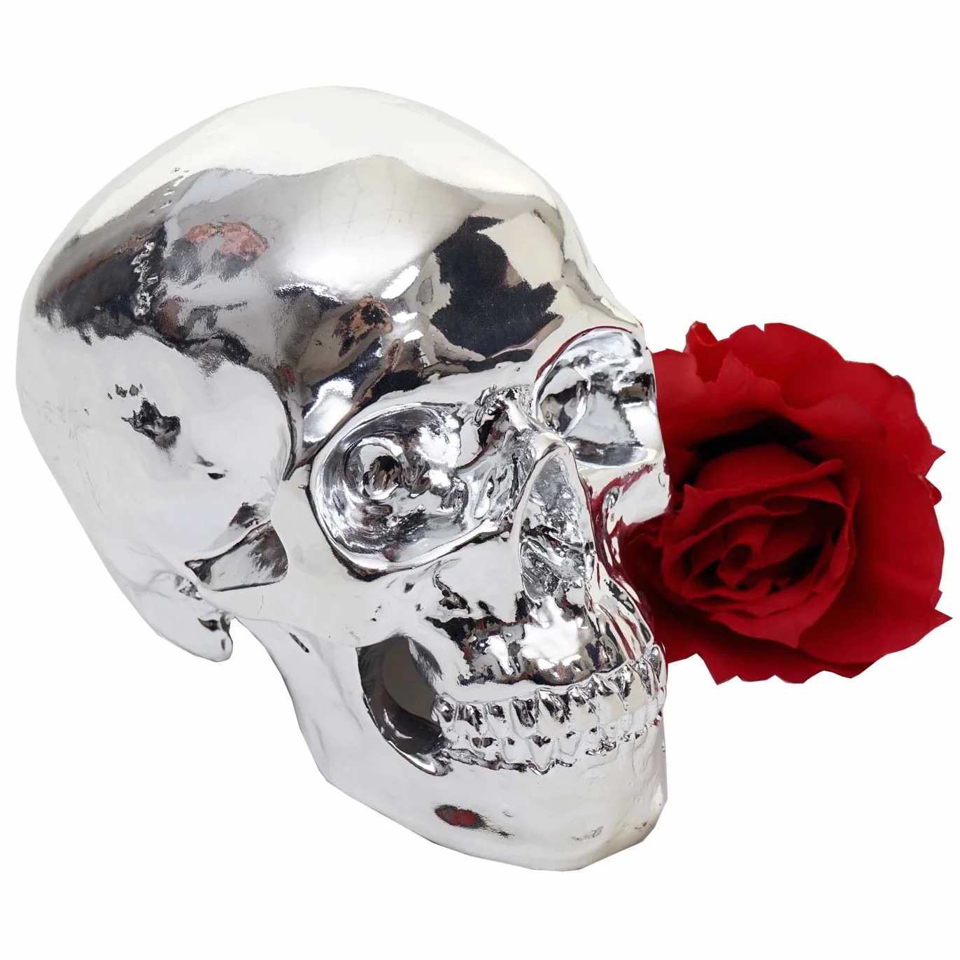 Mendler Deko Totenkopf HWC-T921, rzeźba z żywicy poliestrowej, czaszka, do domu i na zewnątrz, 18 cm, srebrny połysk wysoki