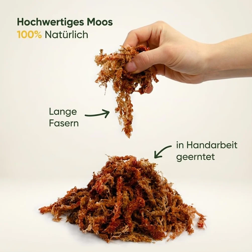 Sphagnum mech do roślin pokojowych i pnączy, daje 10 l (1000 g)