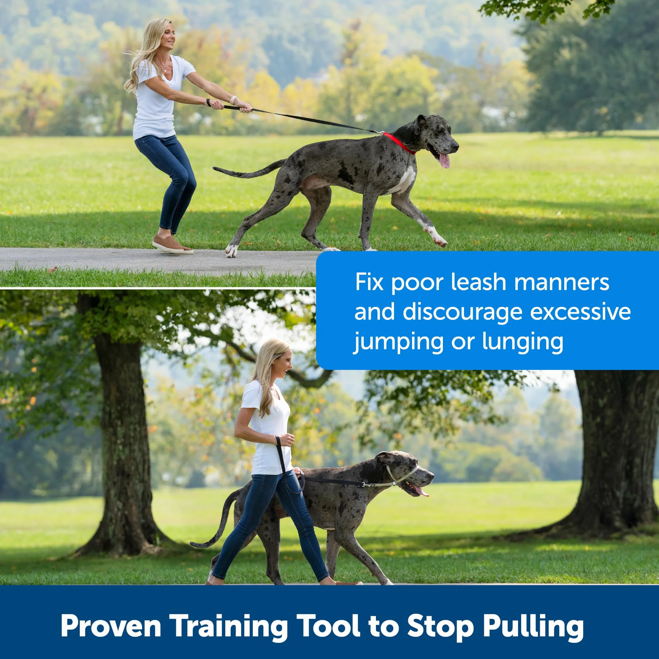 PetSafe Obroża Easy Walk