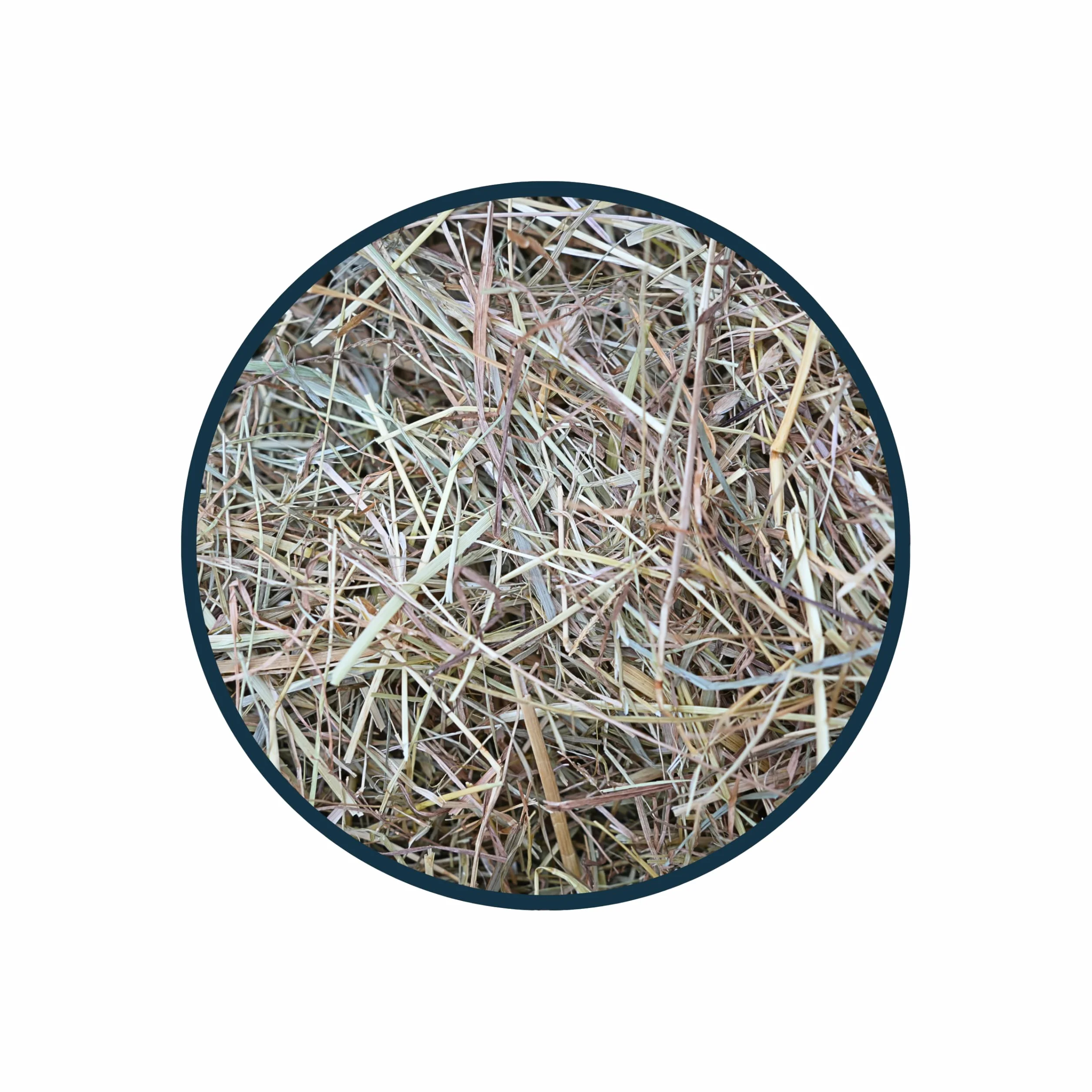Anibest Siano łąkowe, 100% naturalna karma dla królików, chomików, świnek morskich oraz innych gryzoni i małych zwierząt, wyprodukowano w Niemczech, 1 kg