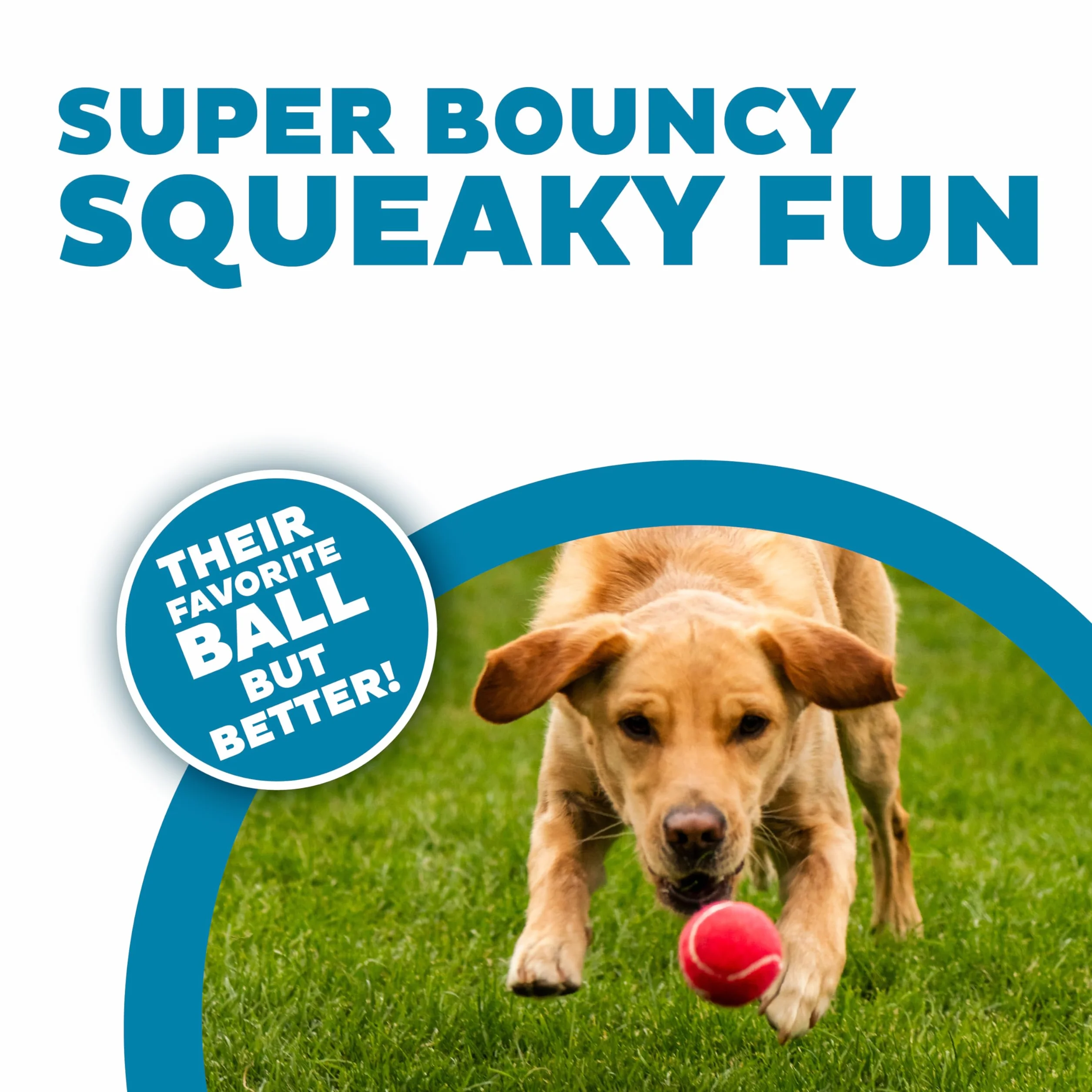 Outward Hound Squeaker Ballz Piłka do aportowania dla psa rozmiar M 4-pak