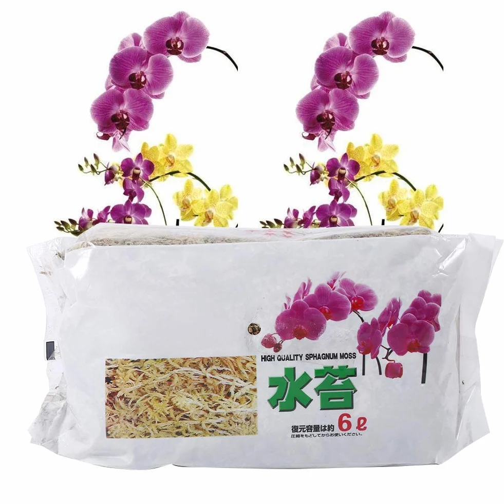 Eujgoov 6L Garden Sphagnum Moss Nawilżający Orchideen Moos Sphaigne Nutrition Organiczny Nawóz do Orchidei Phalaenopsis, EUJGOOVW4I6XVG50B