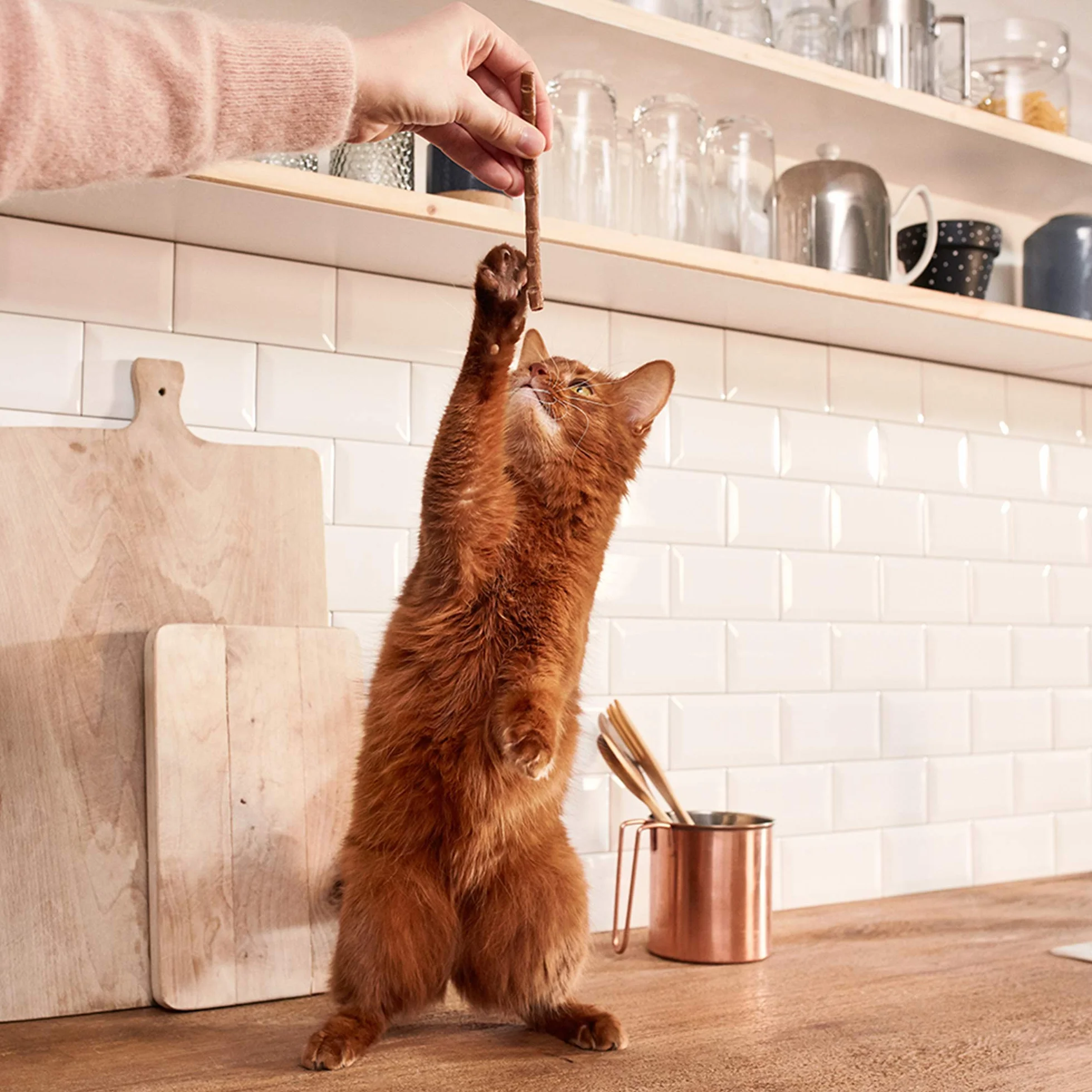 GimCat Sticks pałeczki drobiowe przekąska dla kota 10 sztuk
