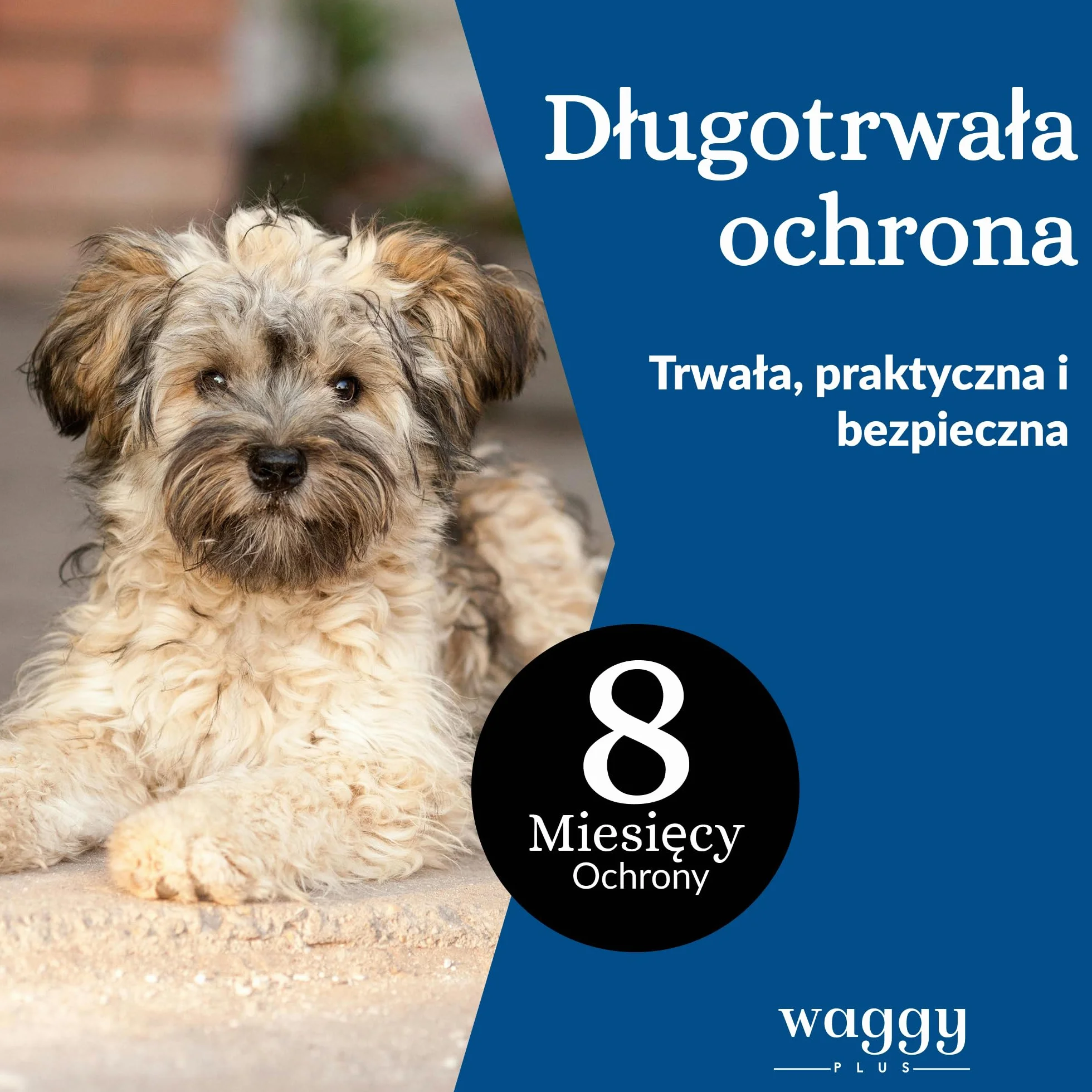 Obro탉a przeciw paso탉ytom dla 힄rednich i ma흢ych ps처w. Skuteczna ochrona Twojego zwierzaka przed pch흢ami, kleszczami, larwami, wszy i komarami. 100% naturalna.
