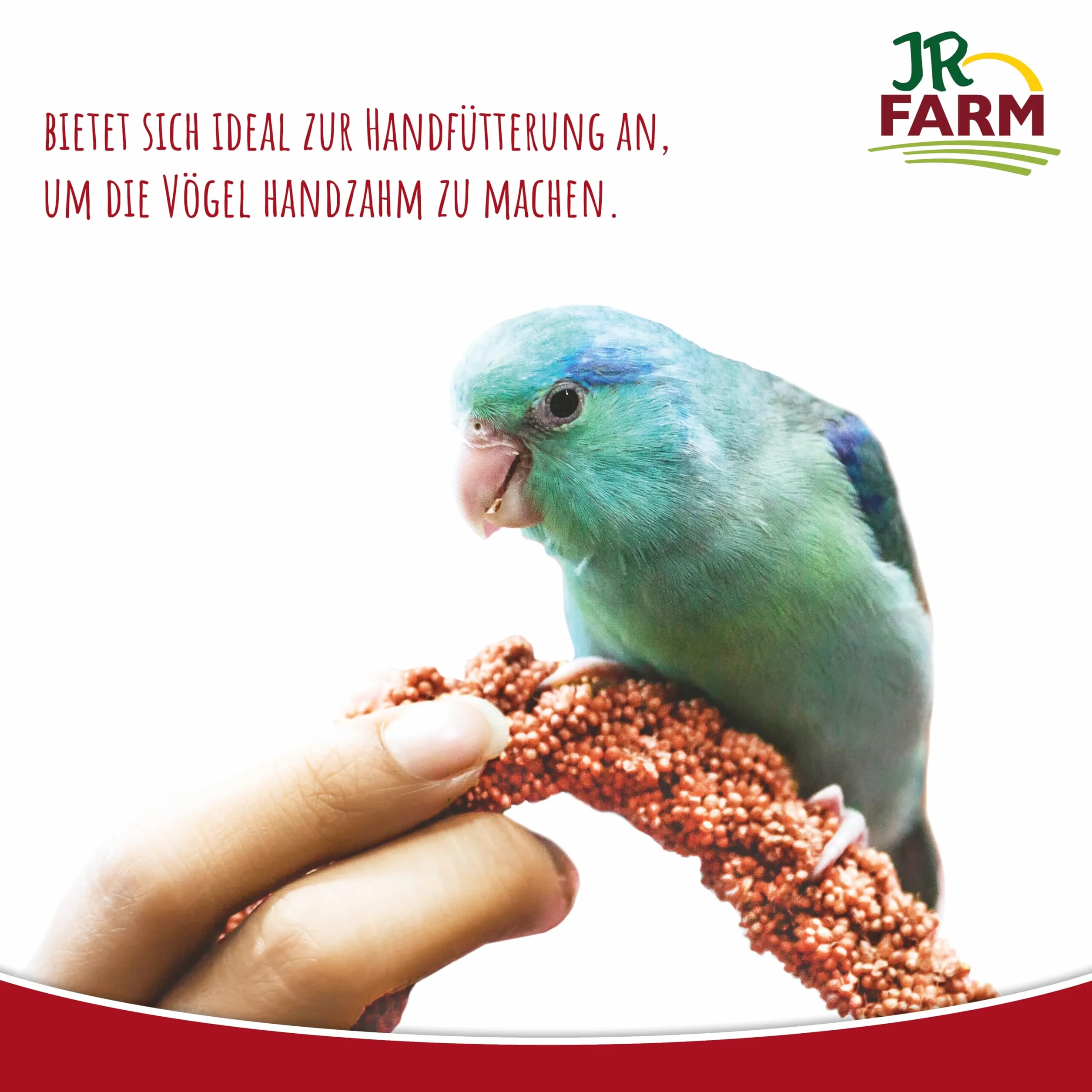 JR FARM proso tłokowe czerwone 500 g