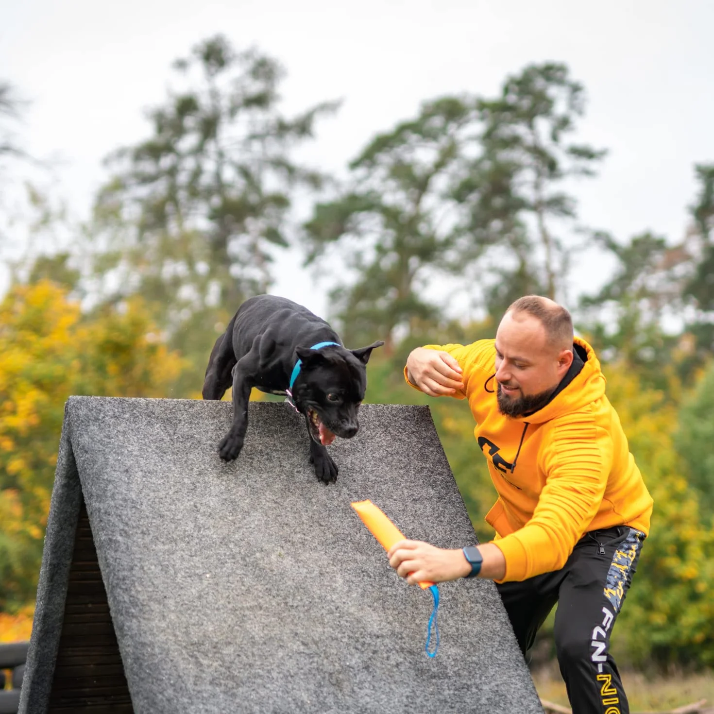 Bull Fit Szarpak dla psa 25 cm z rączką zabawka treningowa