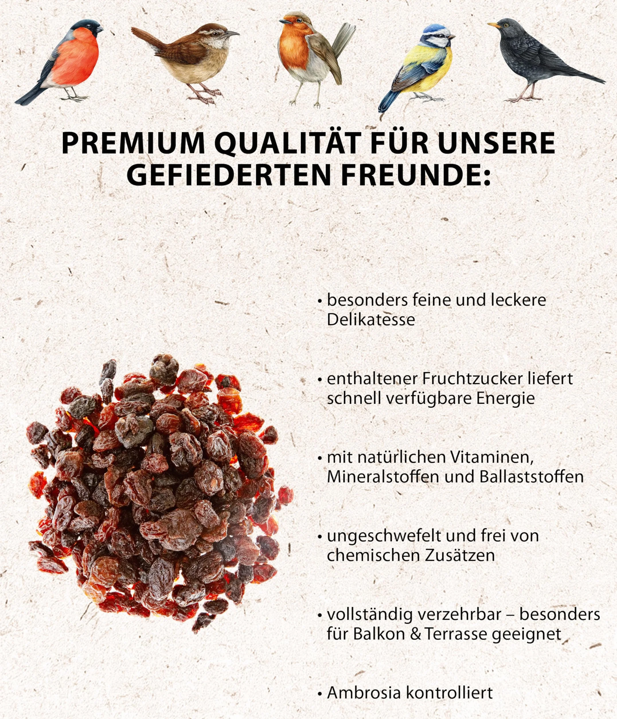Dehner Natura karma dla dzikich ptaków 2 kg