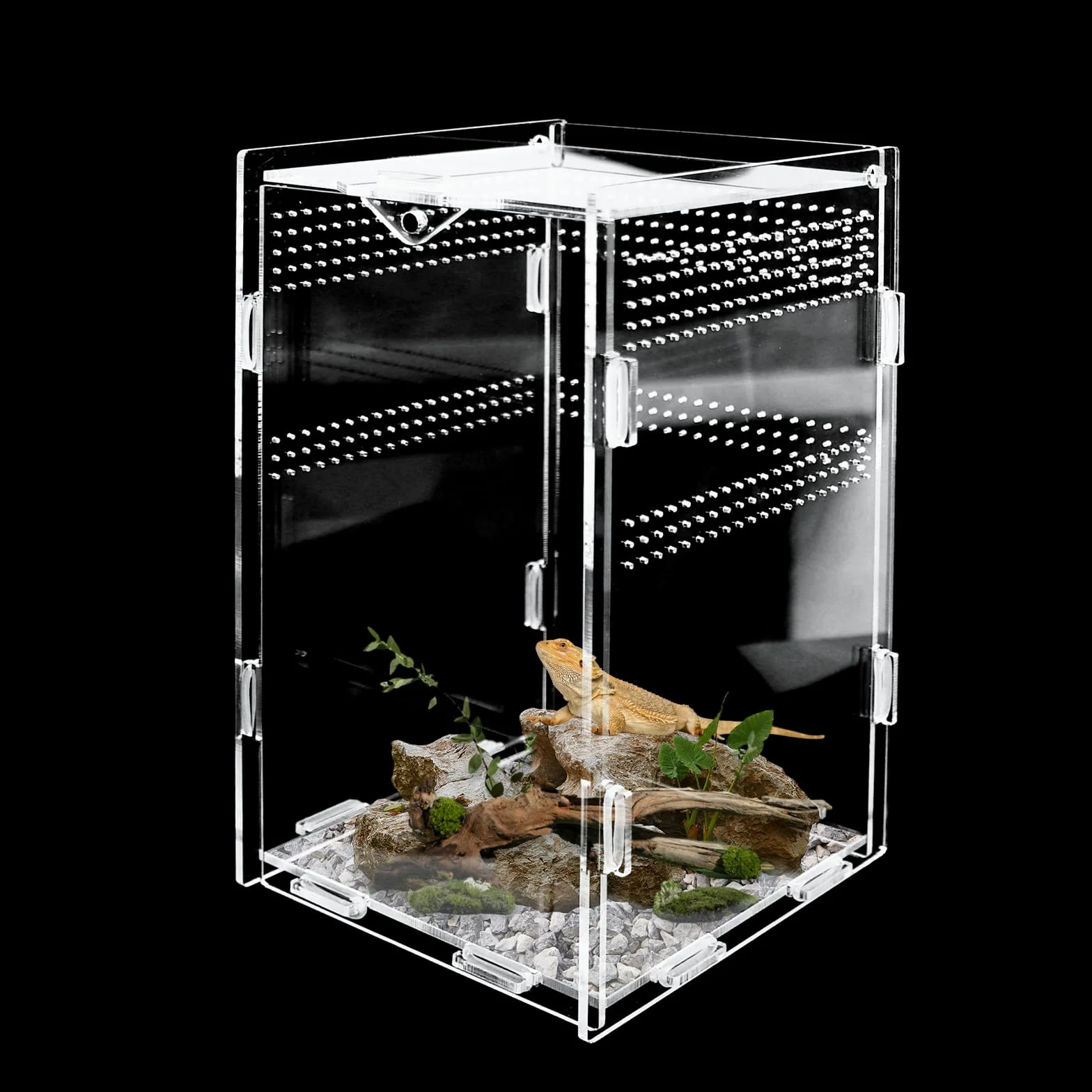 Akrylowe terrarium, pająk do terrarium, pudełko do hodowli i karmienia 12x12x20 cm