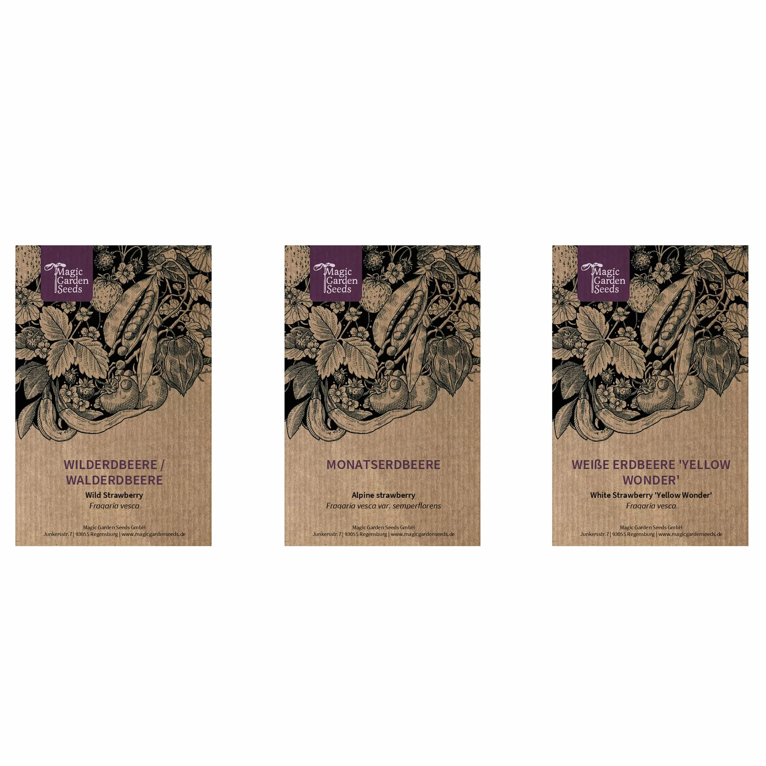 Magic Garden Seeds - Stare odmiany truskawek – zestaw upominkowy z 3 tradycyjnymi, pysznymi odmianami – zestaw do uprawy z białą truskawką, czerwoną truskawką miesięczną i poziomką