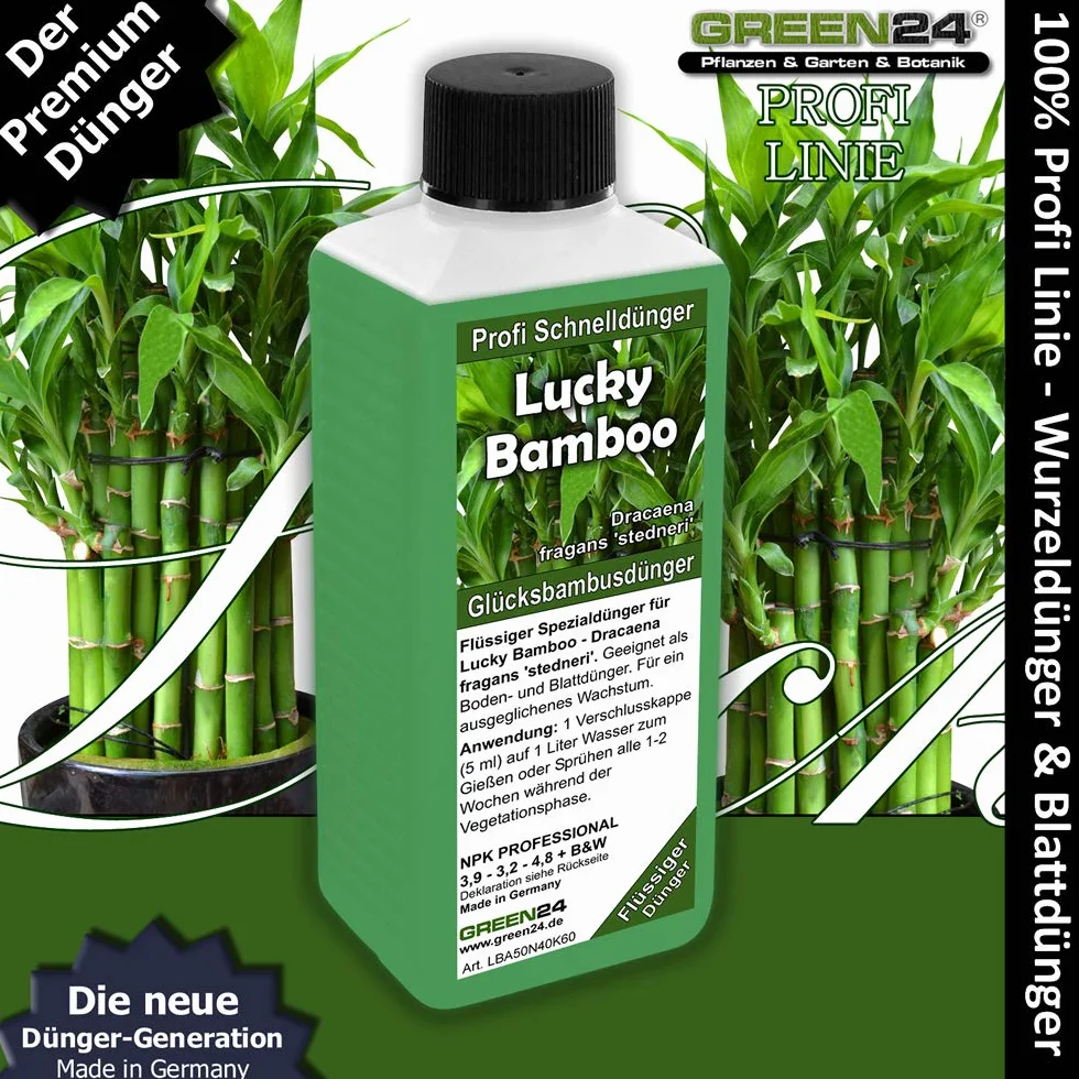 GREEN24 Lucky Bamboo nawóz na szczęście, specjalny nawóz High-TTech NPK, profesjonalna linia do nawożenia bambusa Dracaena sanderiana