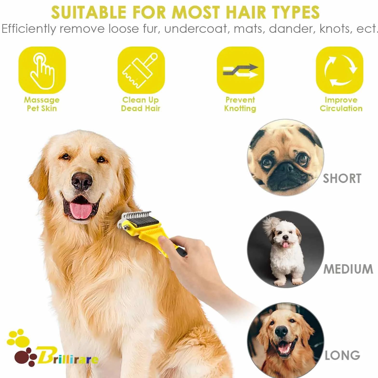 BRILLIARE Pet Grooming Dematting Brush & Stainless-Steel Comb, 2 Sided Undercoat Rake for Cat Dog Deshedding
