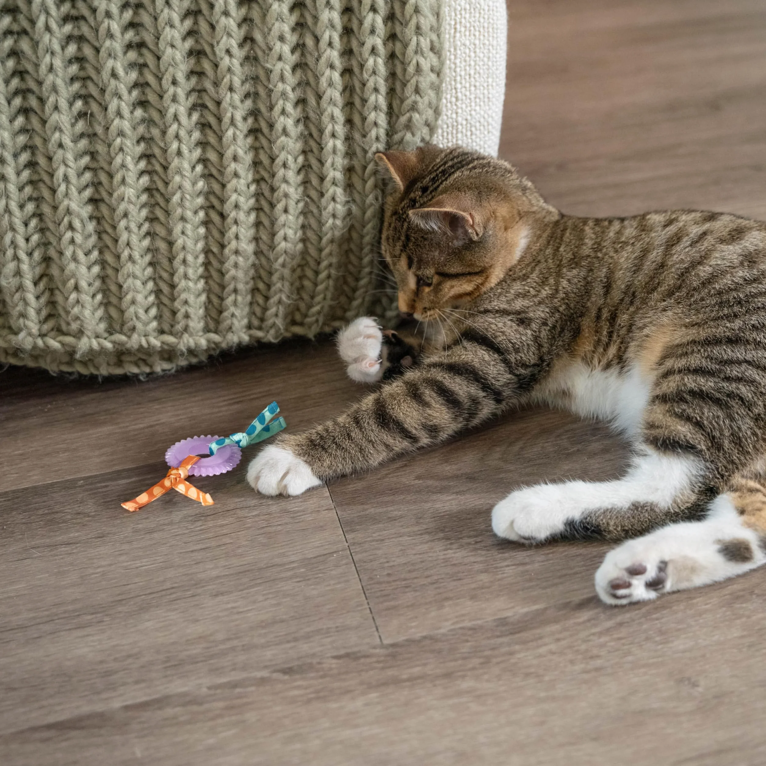 Petstages Dental Kitty Chew Wheel Zabawka dla kotów z kocimiętką wielobarwna