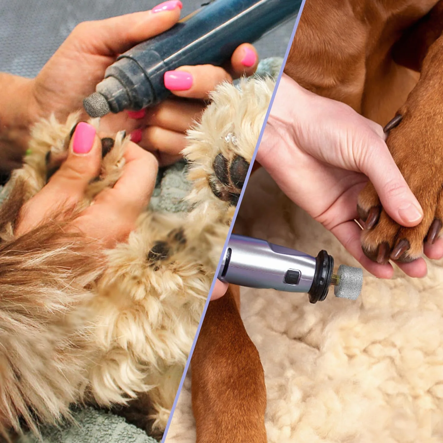 4 Sztuki Wymiennych Glowic do Szlifierki do Paznokci dla Psów, Profesjonalne Kólko do Szlifierki do Paznokci dla Zwierzat Domowych Dog Nail Grinder Duzych Srednich i Malych Psów