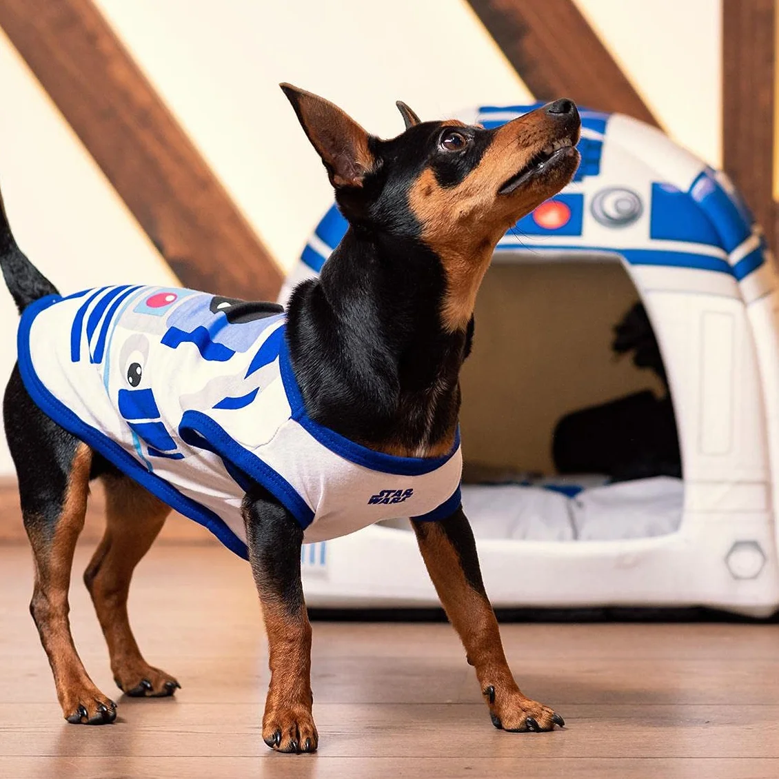 Koszulka dla psa R2-D2 Star Wars® Oficjalna licencja Cerda