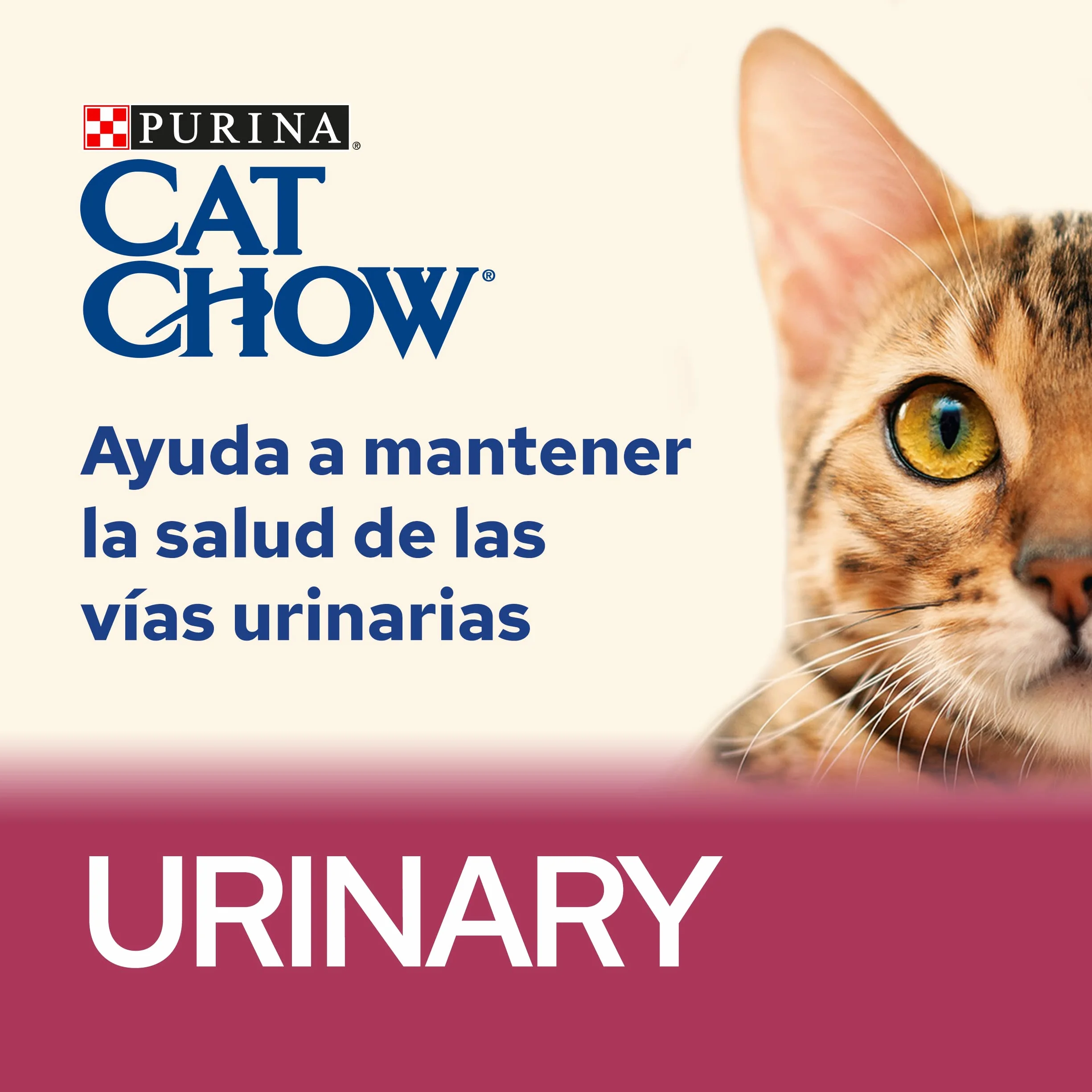 Purina Cat Chow Karma dla dorosłych kotów Układ moczowy z kurczakiem 15kg