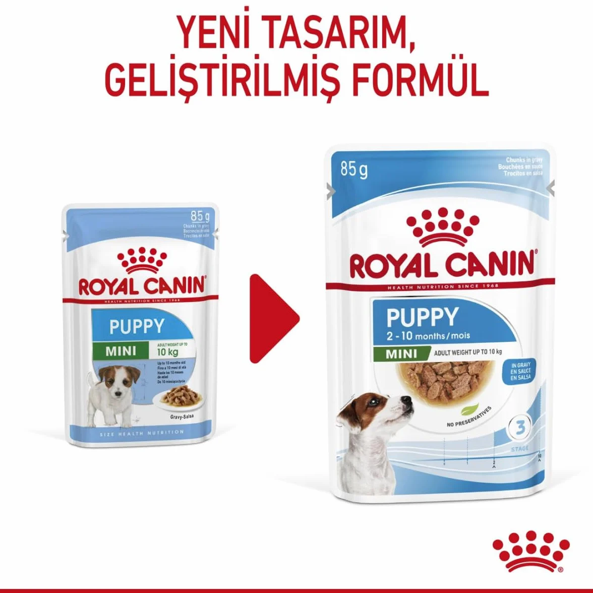 Royal Canine Puppy Mini Pudełko 1000 g