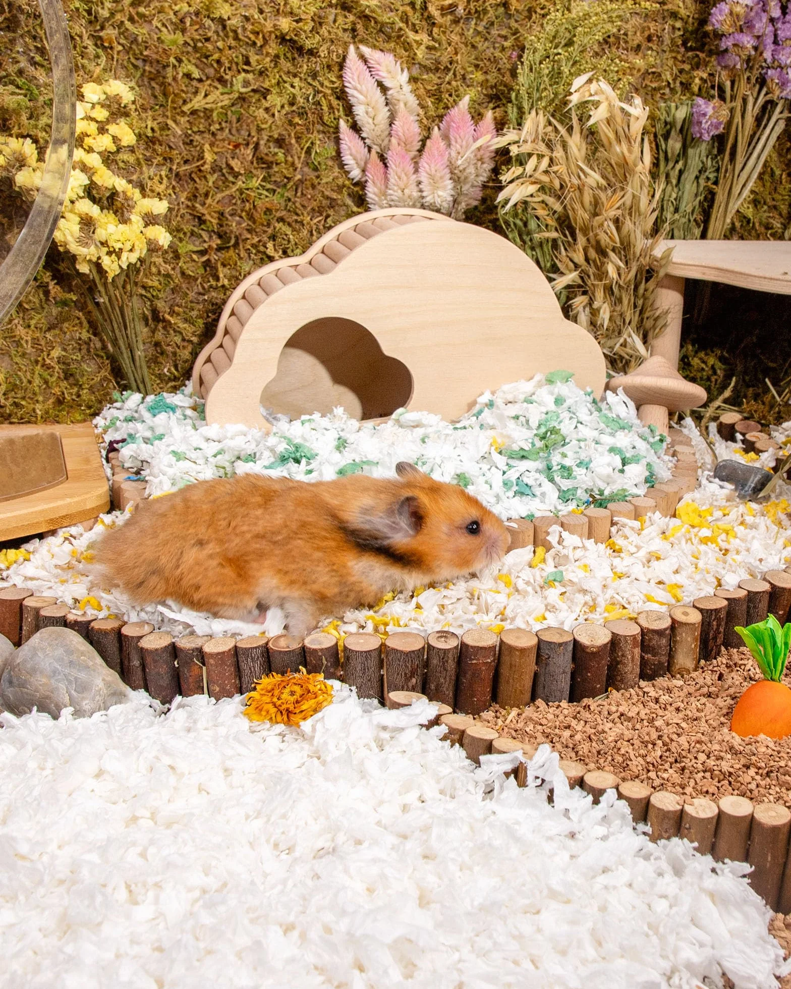 Niteangel Osika do golenia chomika dla chomika syryjskiego karłowatego chomika myszoskoczków degu szczur królik świnka morska szynszyla jeż lub inne małe zwierzęta (36 l - biała pościel papierowa)