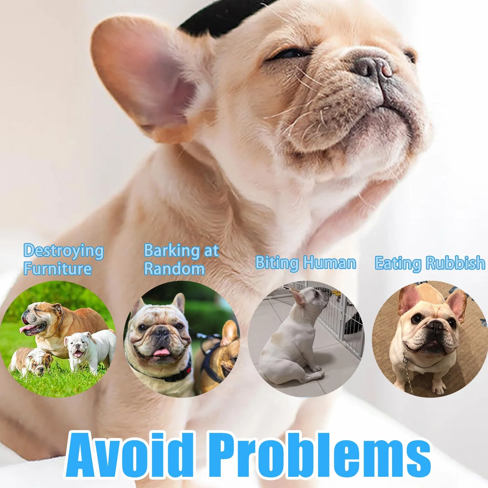 Kaganiec dla Psa z Krótkim Pyskiem - Buldog Francuski, Shih Tzu, Małe Psy - Do Pielęgnacji, Przeciw Gryzieniu, Żuciu, Szczekaniu - Regulowany Pasek