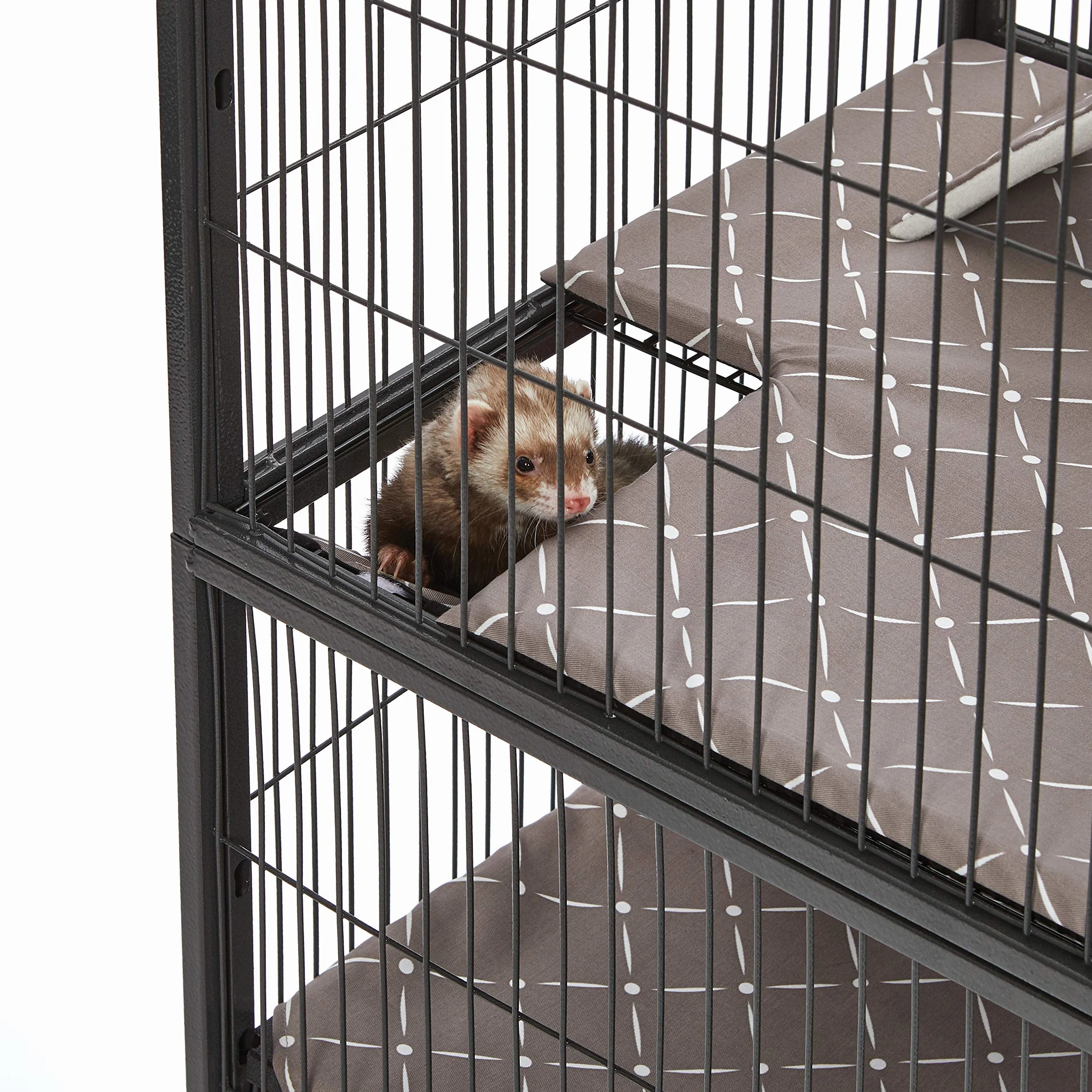 MidWest Homes for Pets Zestaw akcesoriów Ferret Nation Critter Nation nadruk diamentowy 2 szt.