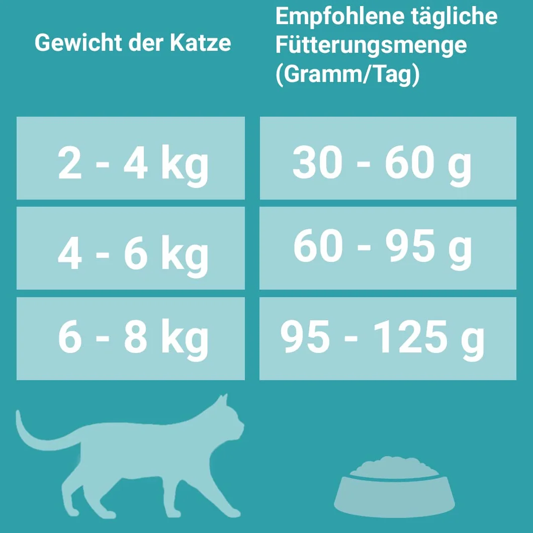 PURINA ONE Karma sucha dla dorosłych kotów Bogata w Łososia 9.75 kg