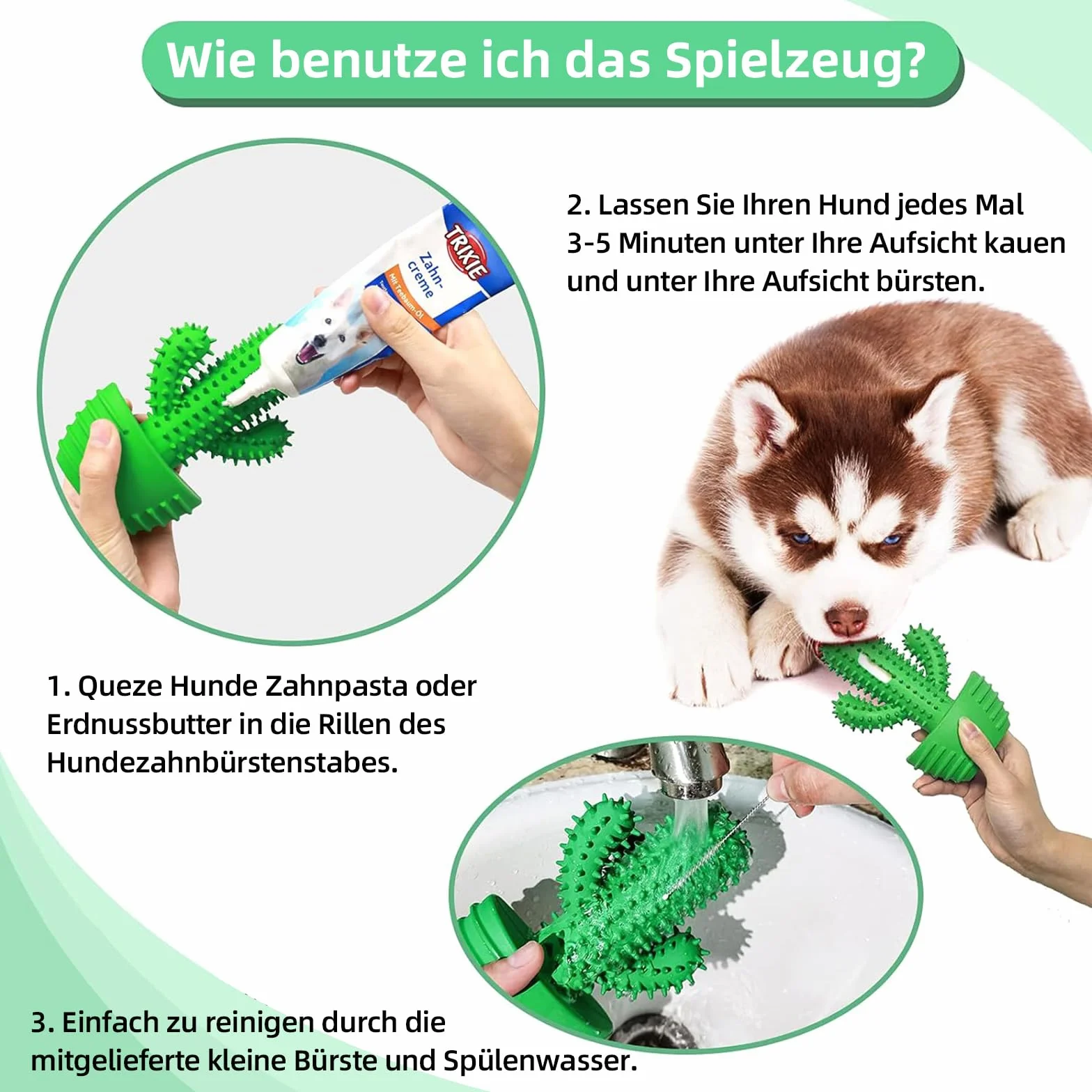 HETOO Zabawka dla psa do agresywnego żucia, zabawka do żucia, prawie niezniszczalna, piszcząca, zabawka dla średnich psów, wytrzymała, trwała, gumowa zabawka dla psów (kaktus)