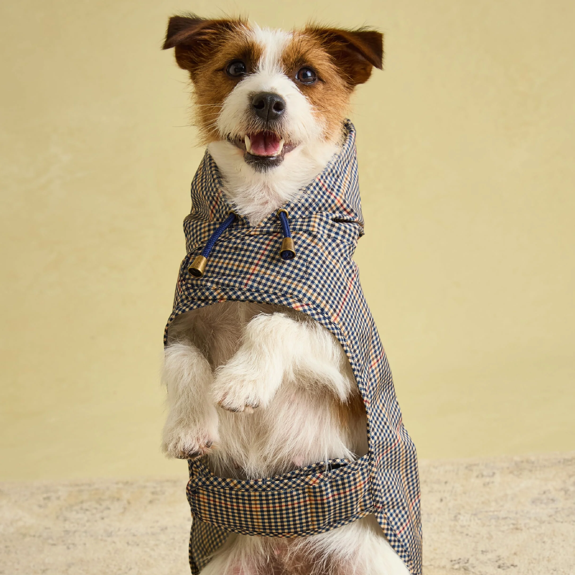 Rosewood Joules Henson Check Packaway Kurtka dla Psów Wodoodporna Mała Lekka Pranie