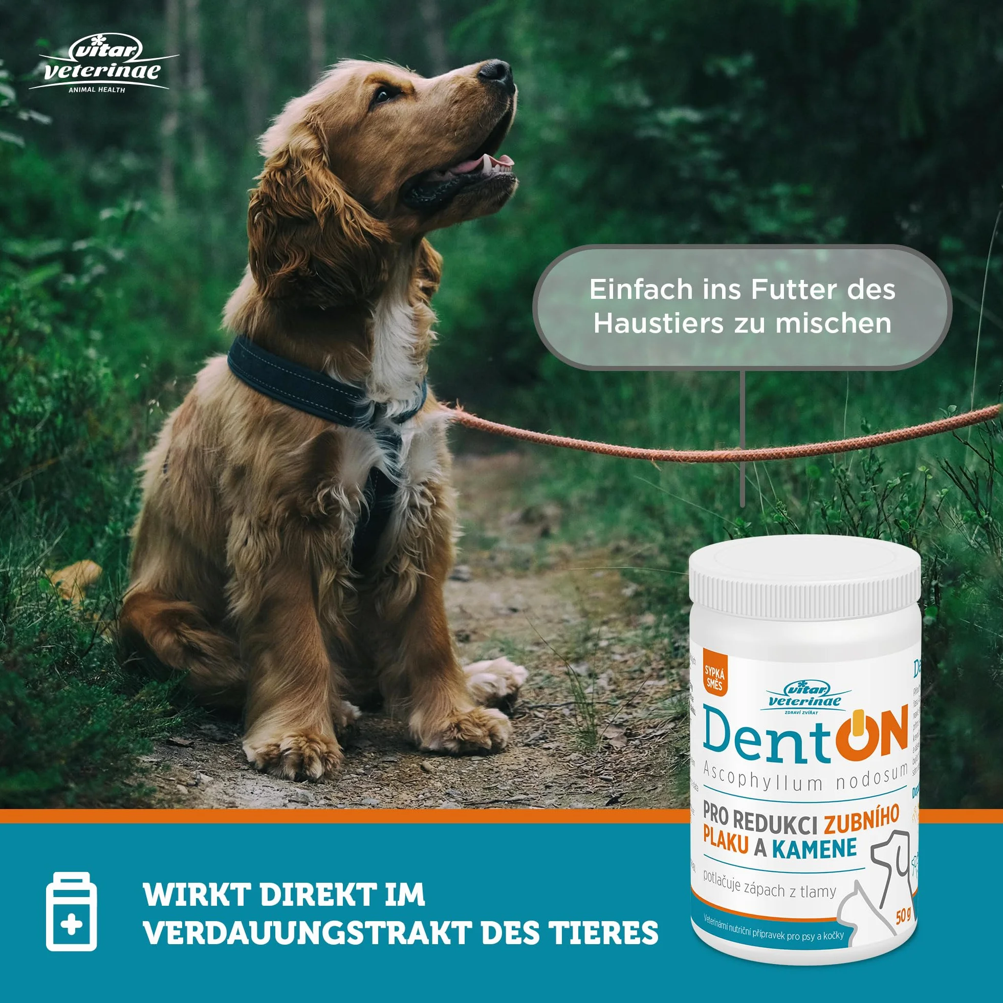 DentON 50 g na płytkę nazębną i kamień nazębny