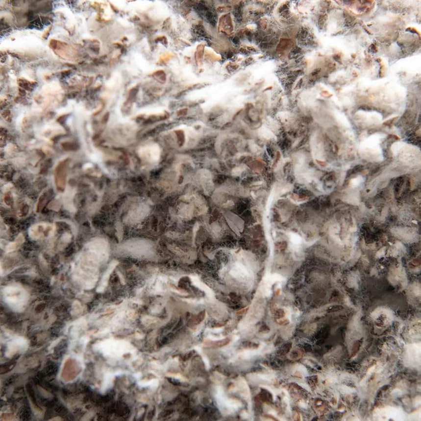Joris Cotton n Cotton, Ściółka dla Gryzoni i Królików, Bawełniana, Bezpyłowa i Antyalergiczna, 10L, 0.8kg