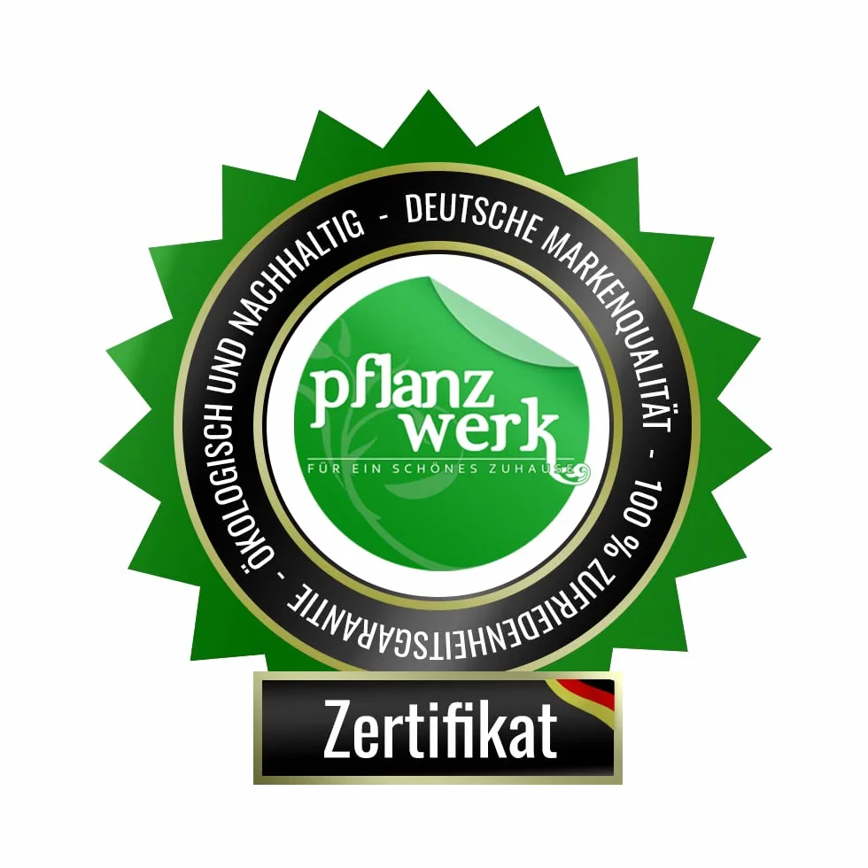 Pflanzwerk Podstawka pod donicę – ultrapłaski, designerski wałek na rośliny, Ø 28 cm, prostokątny i okrągły, do wszystkich doniczek i doniczek na kwiaty, do użytku wewnątrz i na zewnątrz