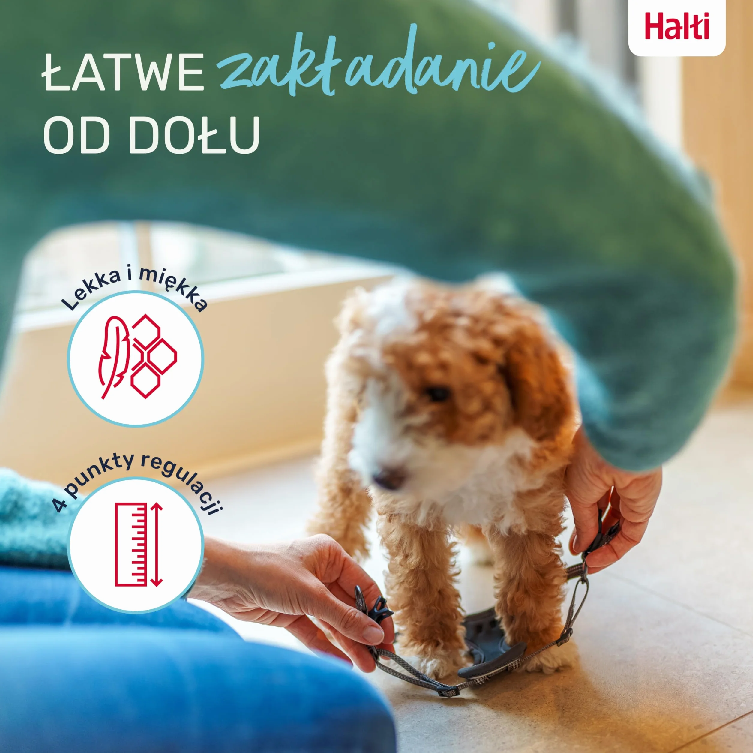 HALTI Anatomy uprząż dla szczeniąt XXS szary 4 punkty regulacji