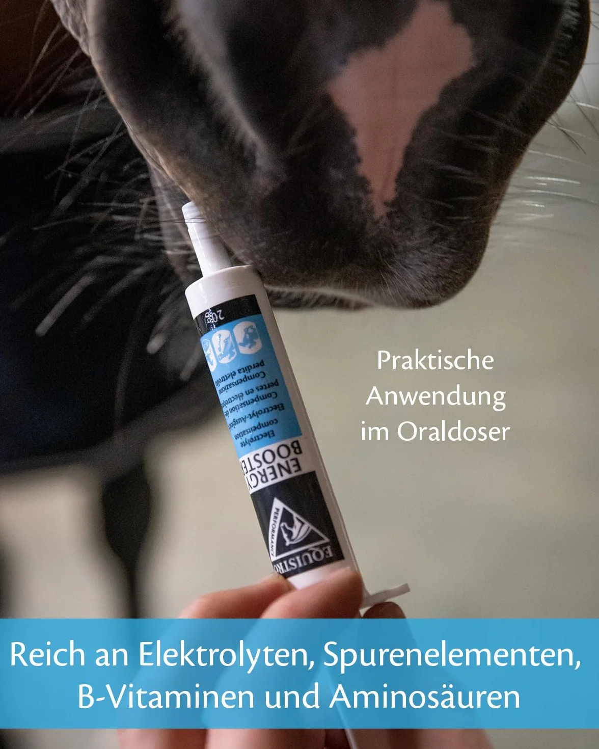 Vetoquinol Equistro Energy Booster 2 x 20 g karma uzupełniająca dla koni