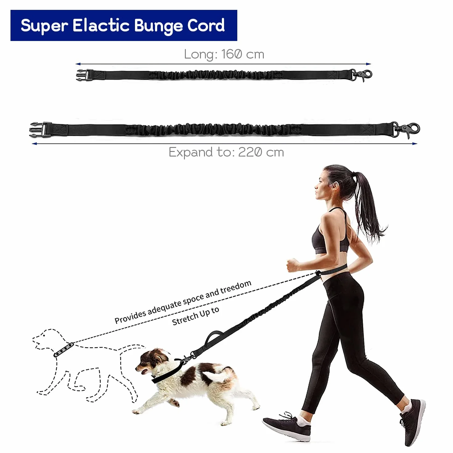 Edipets Edipets, Correa Perro Cintura, Para Correr Smycz do Biegania, Czarny, 160-220 cm