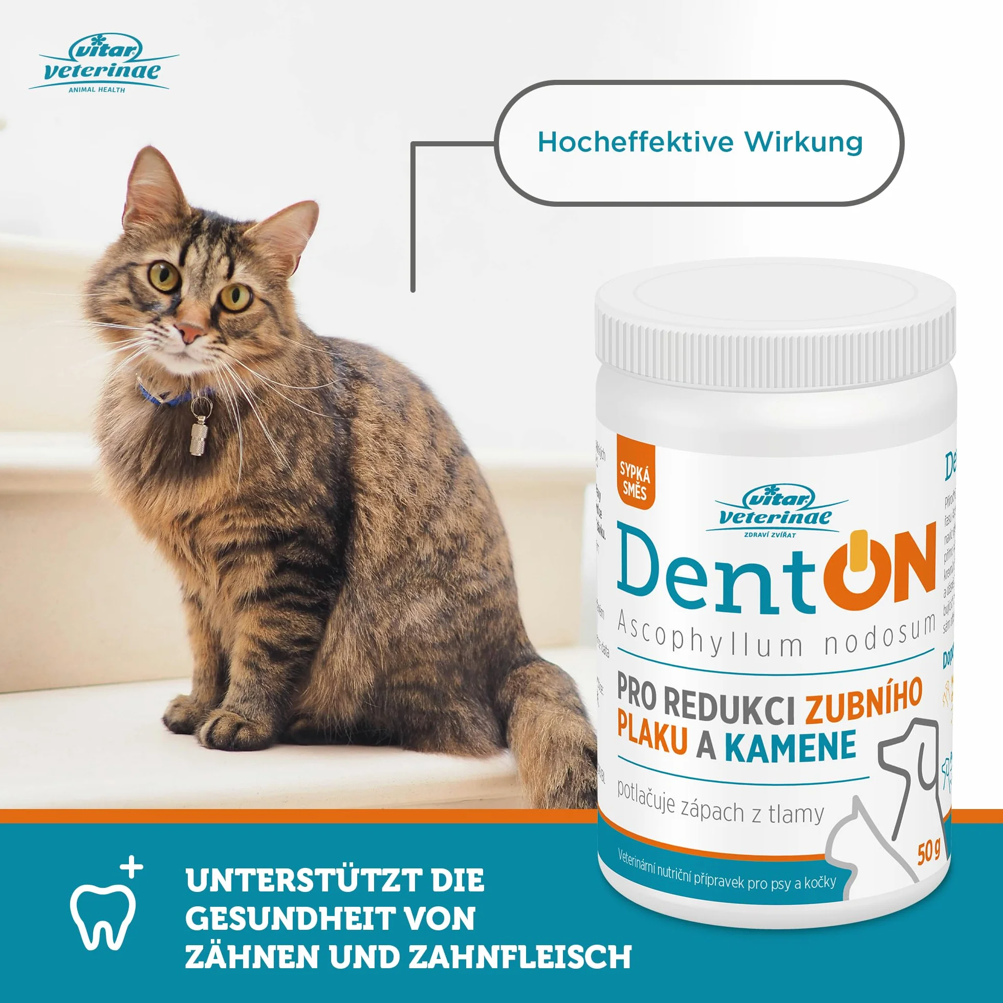 DentON 50 g na płytkę nazębną i kamień nazębny