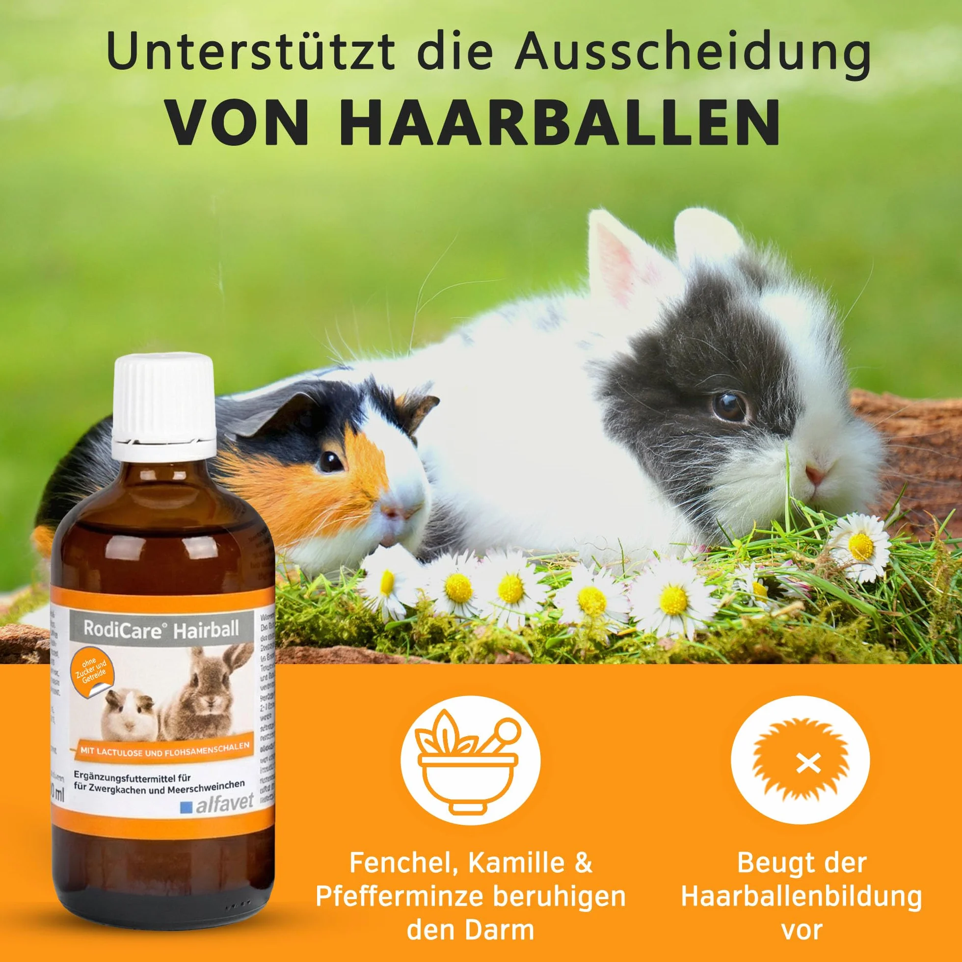 alfavet RodiCare Hairball Suplement diety dla królików i świnek morskich 100 ML