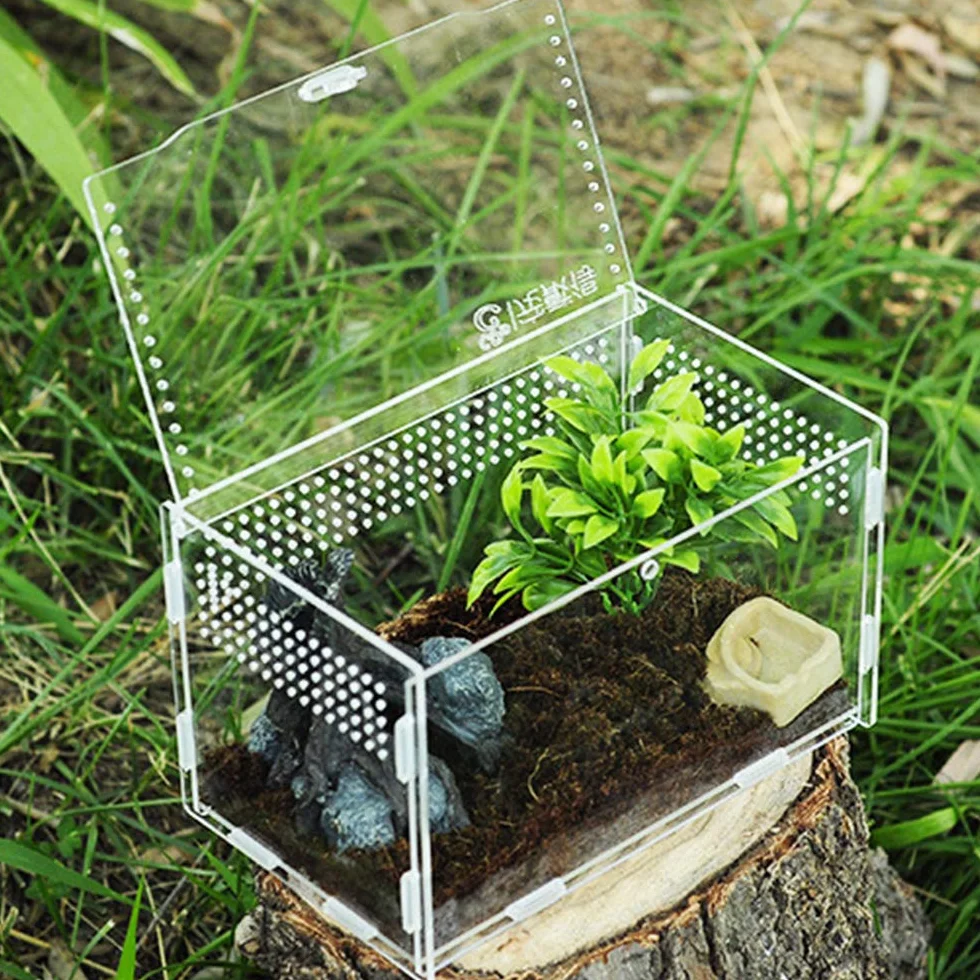 Skrzynka do karmienia, akrylowe pojemniki, terrarium dla pająka, jaszczurki, żaby, skorpiona, przenośne siedlisko dla zwierząt domowych, konstrukcja zapobiegająca ucieczce, przezroczyste 1