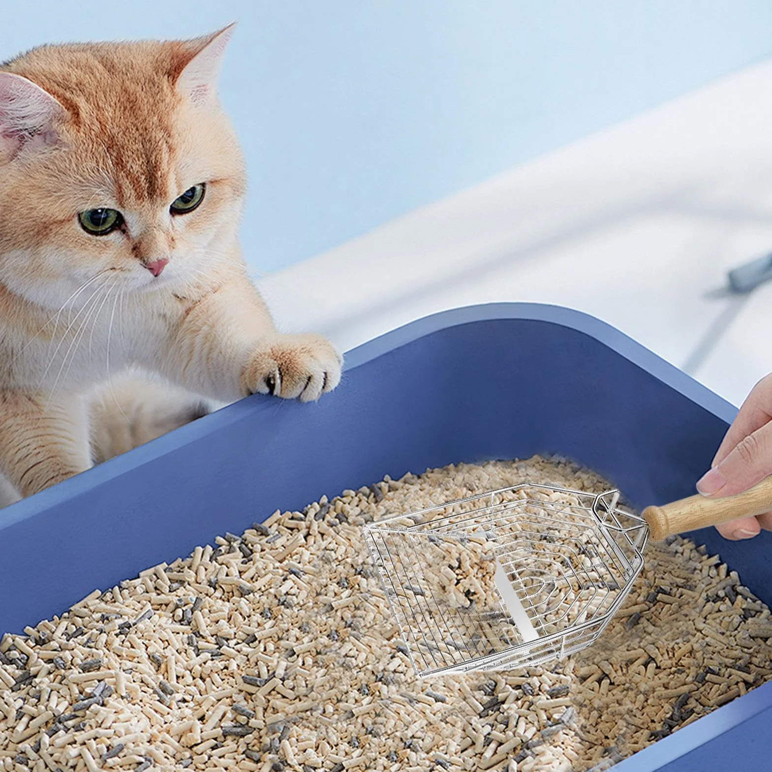 Kitty Scooper Długa rączka Litter Sifter, stal nierdzewna, łyżka do butów dla kota, 11,57 x 4,53 x 2,2 cala, Biały