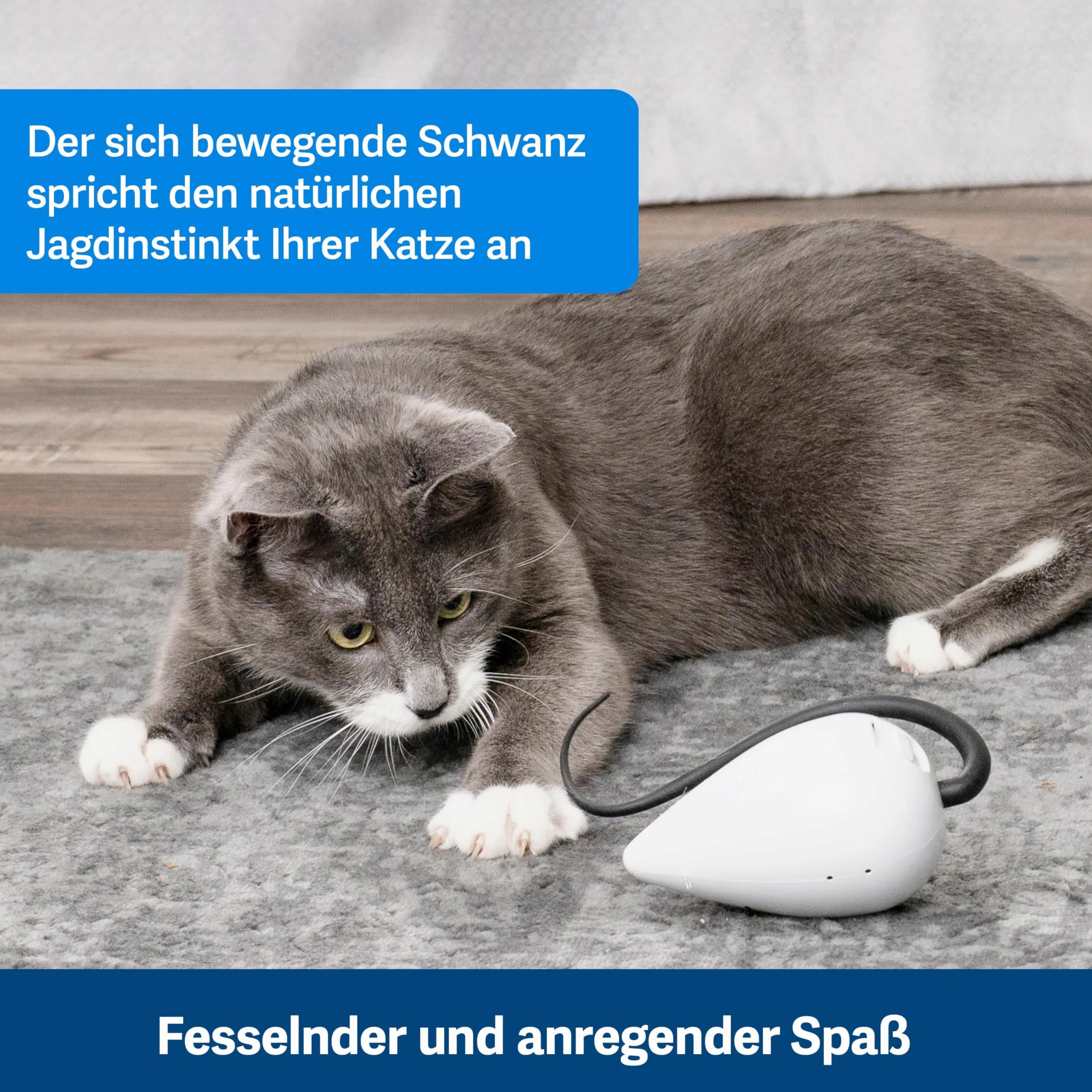 PetSafe Drinkwell Original Fontanna dla małych psów i kotów 1,5 L Regulowany przepływ