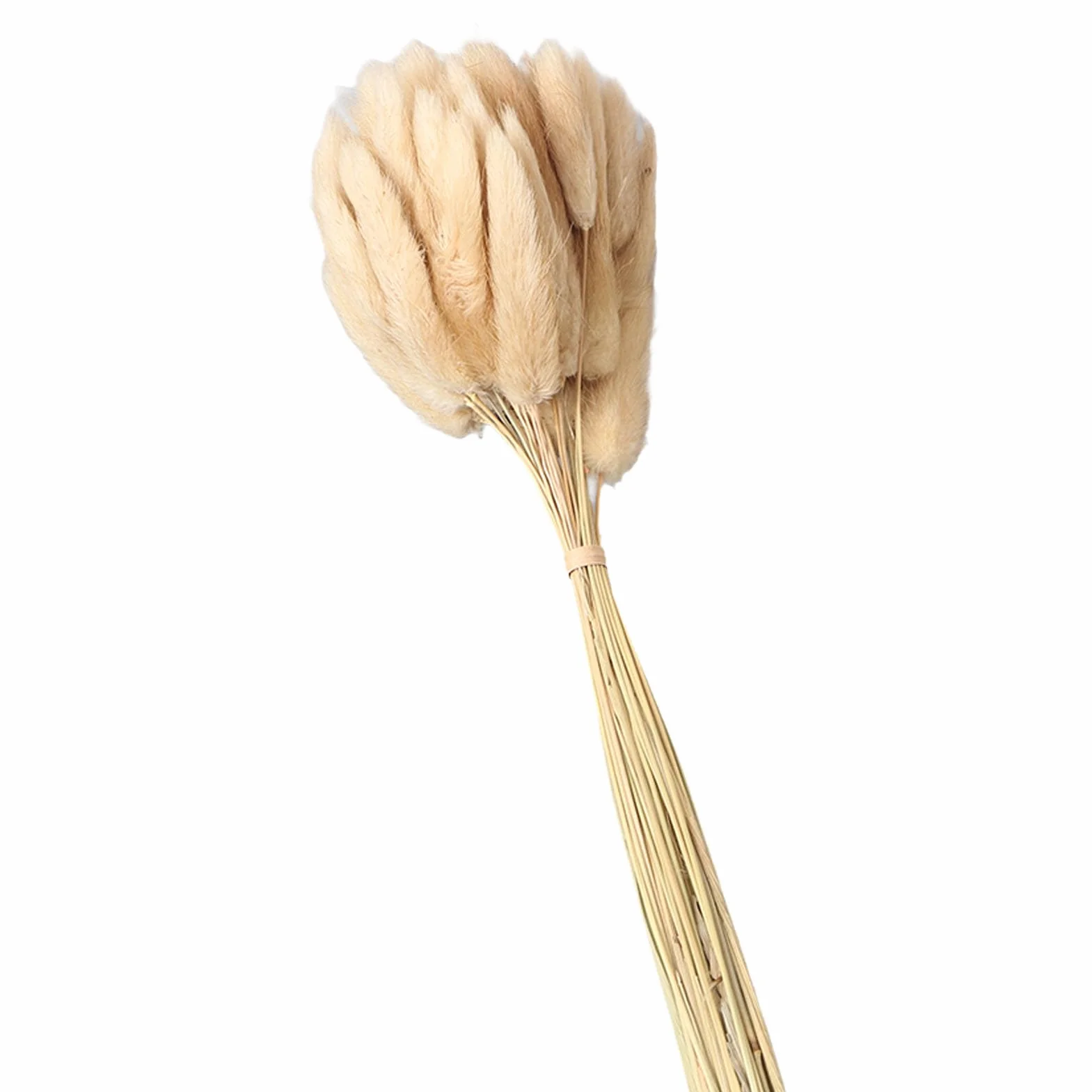 Tissting Suszona trawa pampasowa, 43 cm, boho, trzcina, rustykalna dekoracja wiejska, królik, ogon, trawa, do domu, na ślub, 100 szt